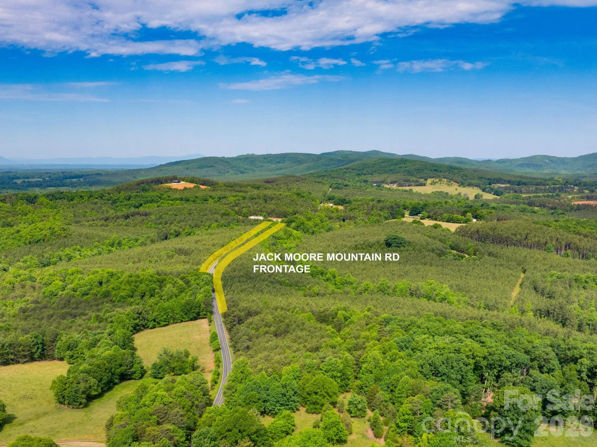 00 Jack Moore Mountain Road - Photo 10