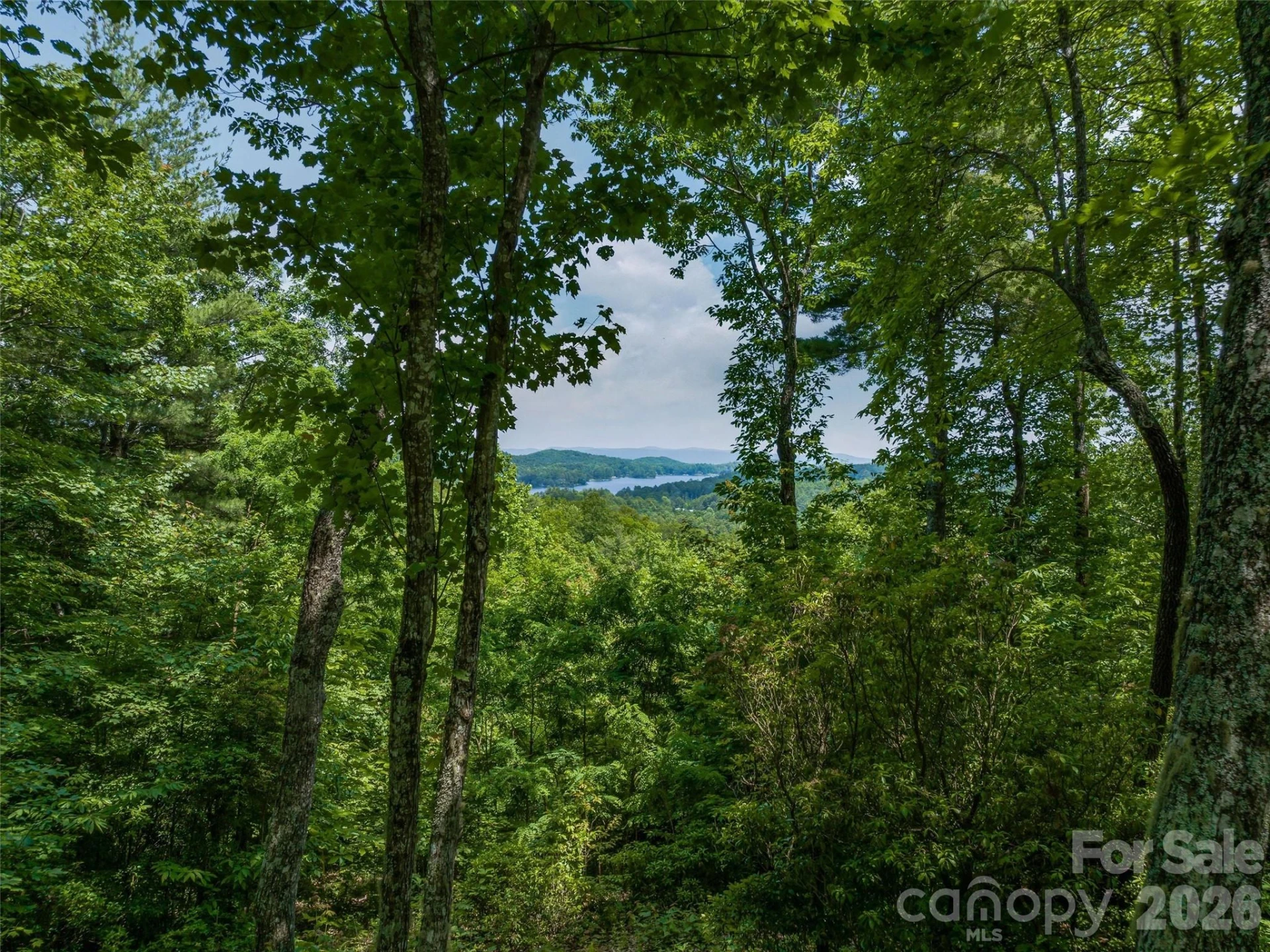 2 Cardinal Drive #TRP 2 - Photo 22
