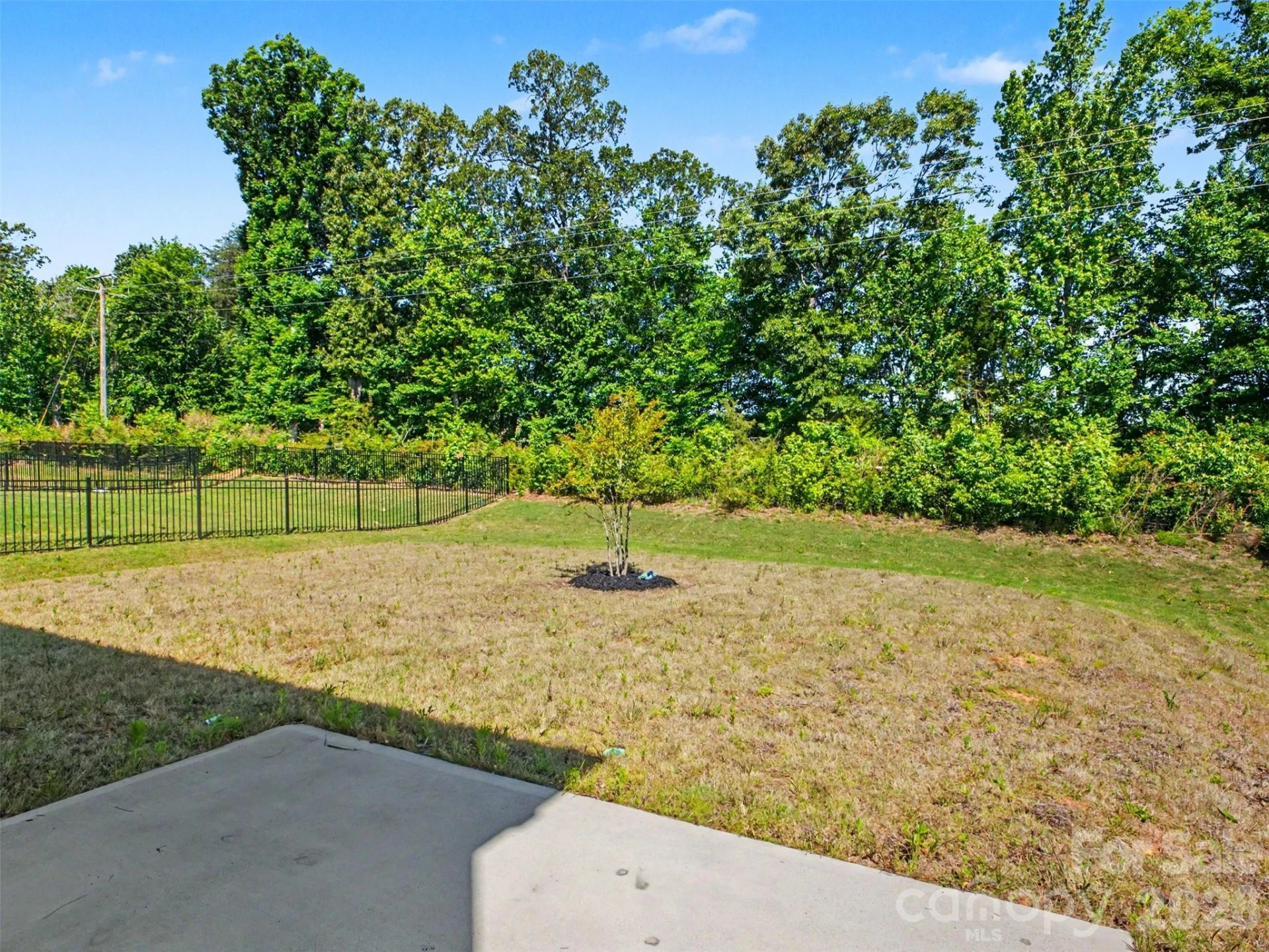 155 Bird Dog Drive - Photo 28