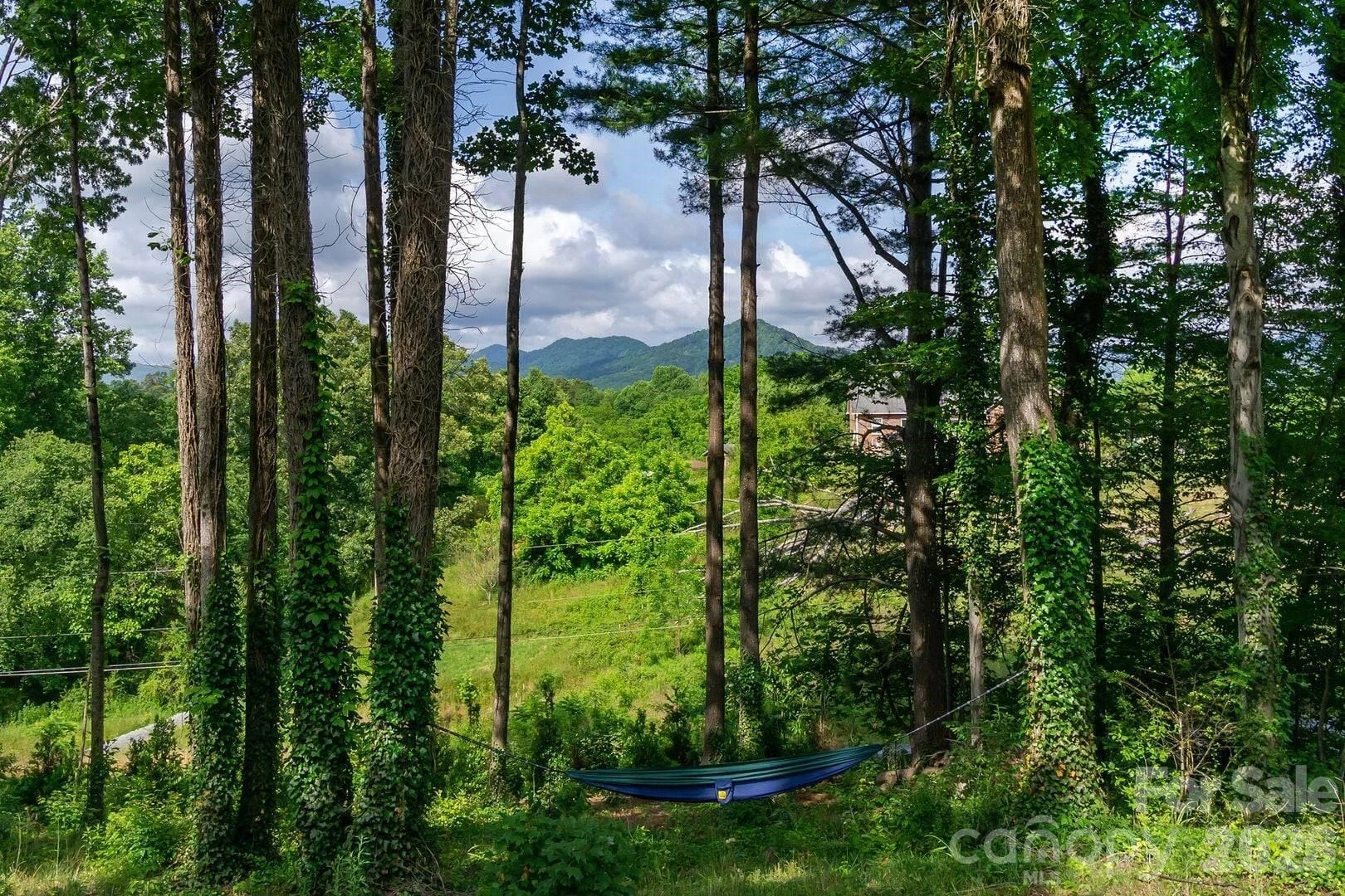29 Friendly Drive - Photo 36