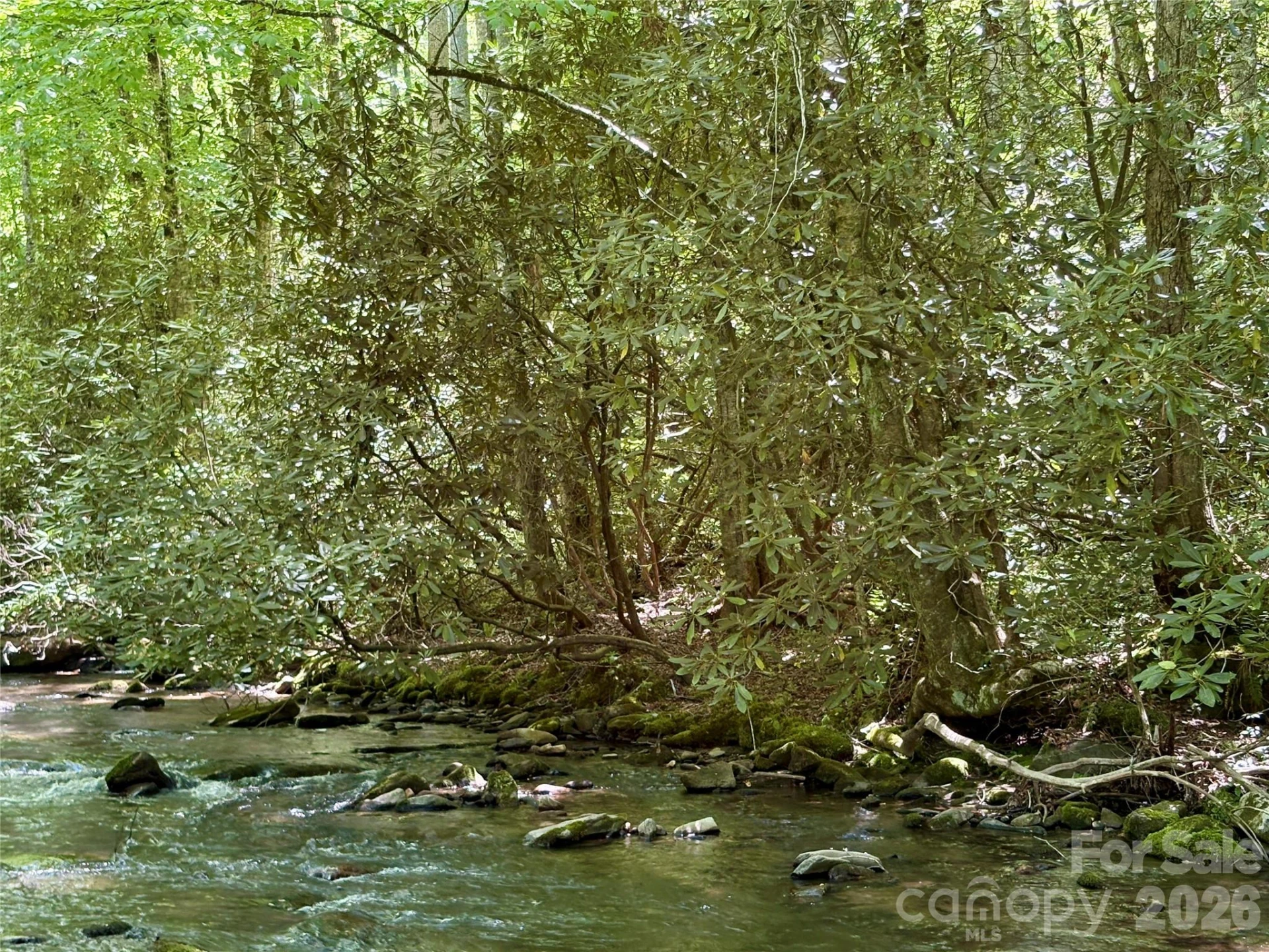 0 Timber Estates Road #11 - Photo 2