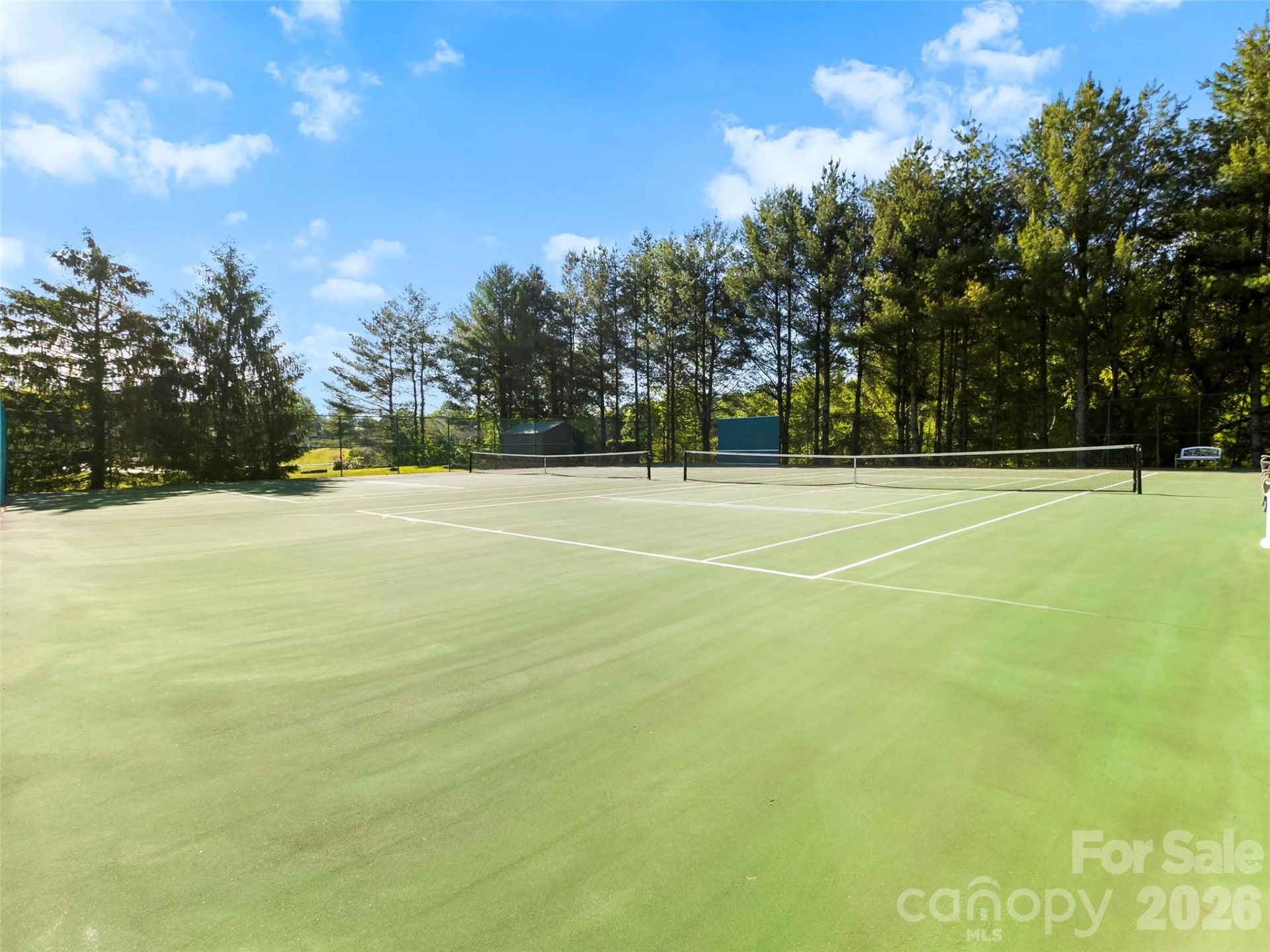 2303 Deermouse Way - Photo 26