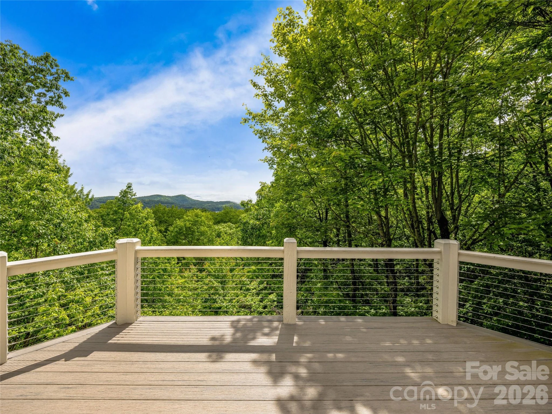 251 Toxaway Court - Photo 12
