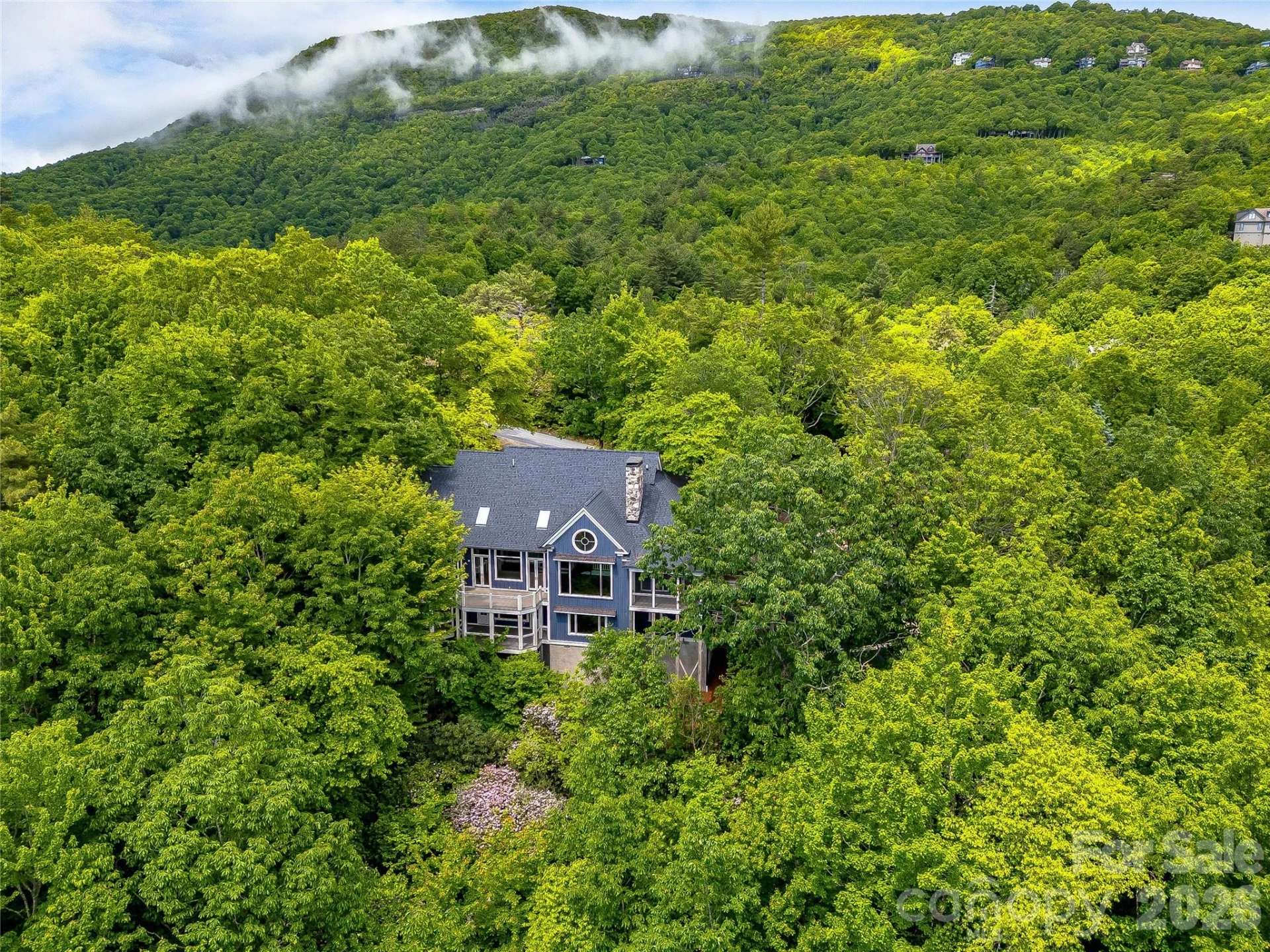 251 Toxaway Court - Photo 3