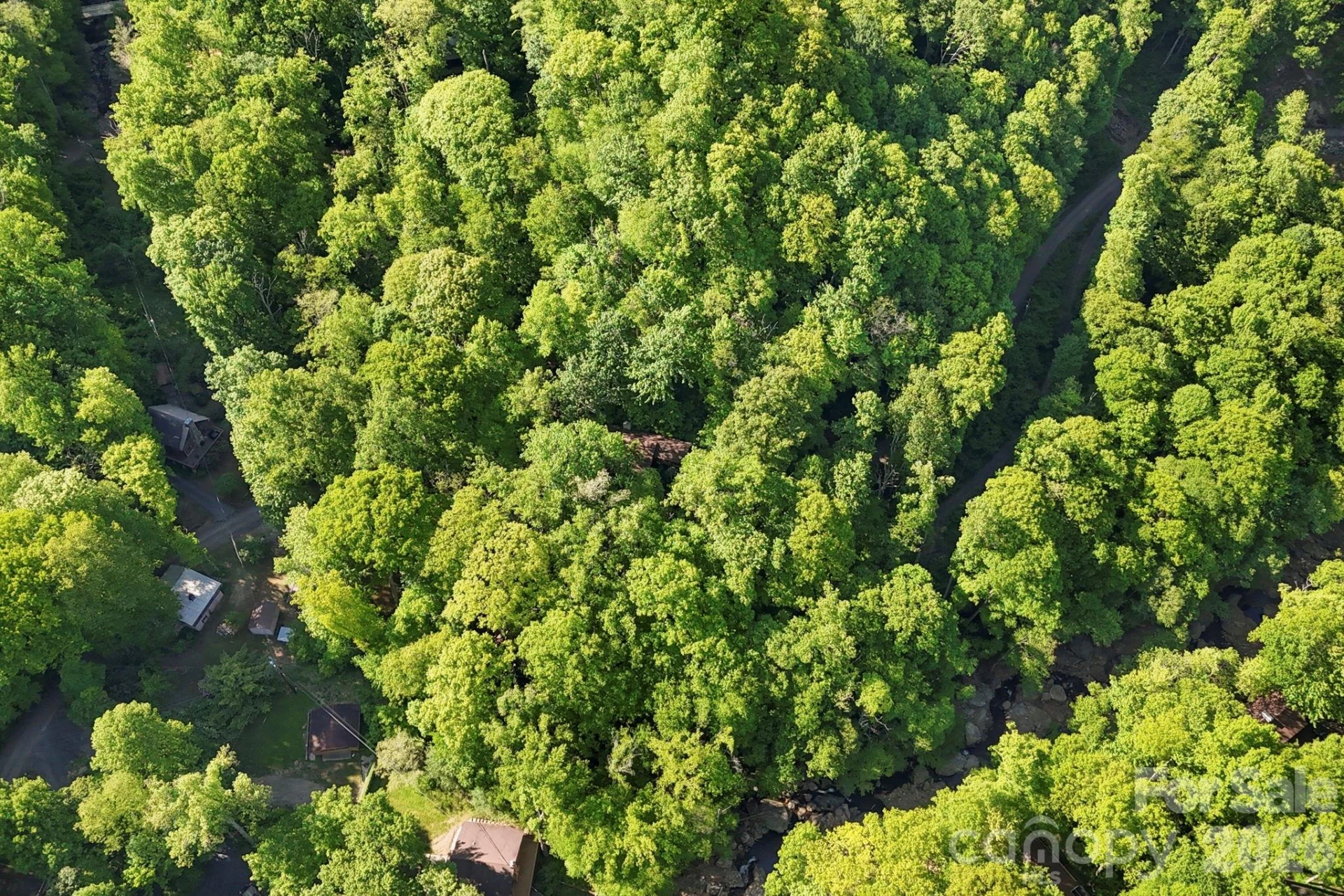500 Winter Star Road - Photo 4