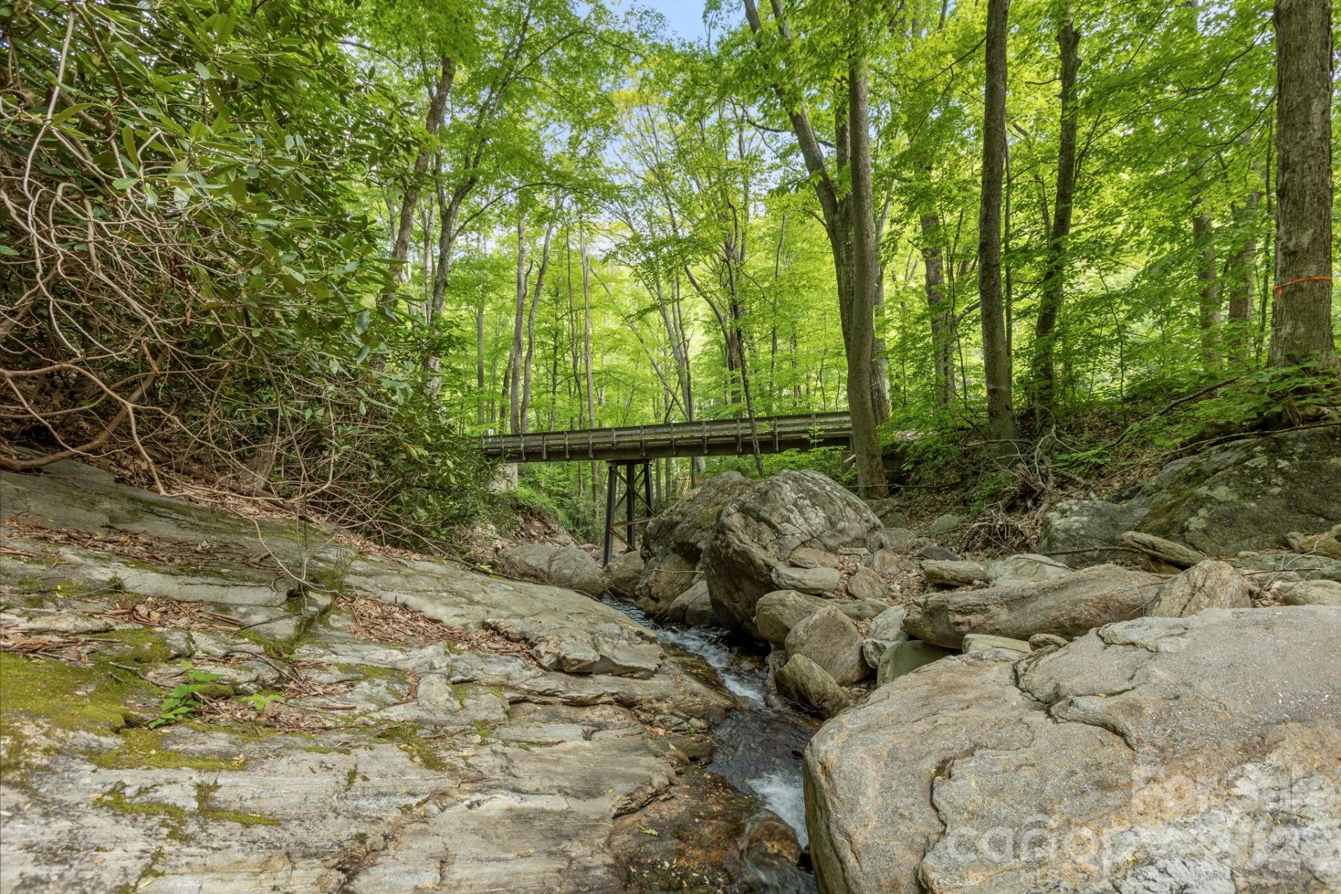 500 Winter Star Road - Photo 39