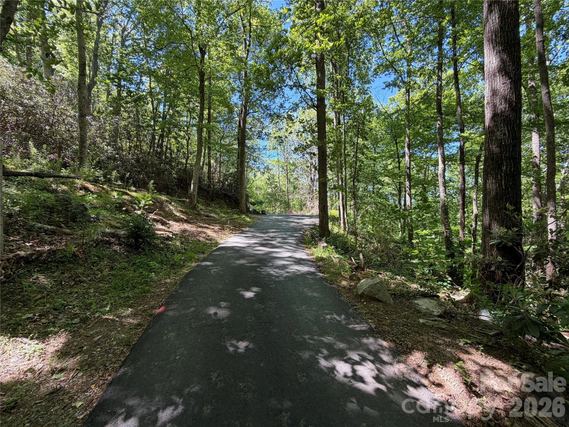 25 Buck Ridge Road - Photo 2