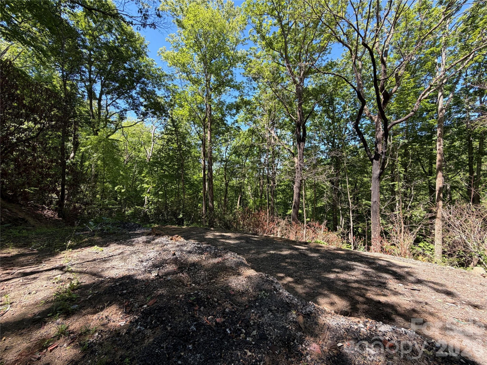 25 Buck Ridge Road - Photo 11