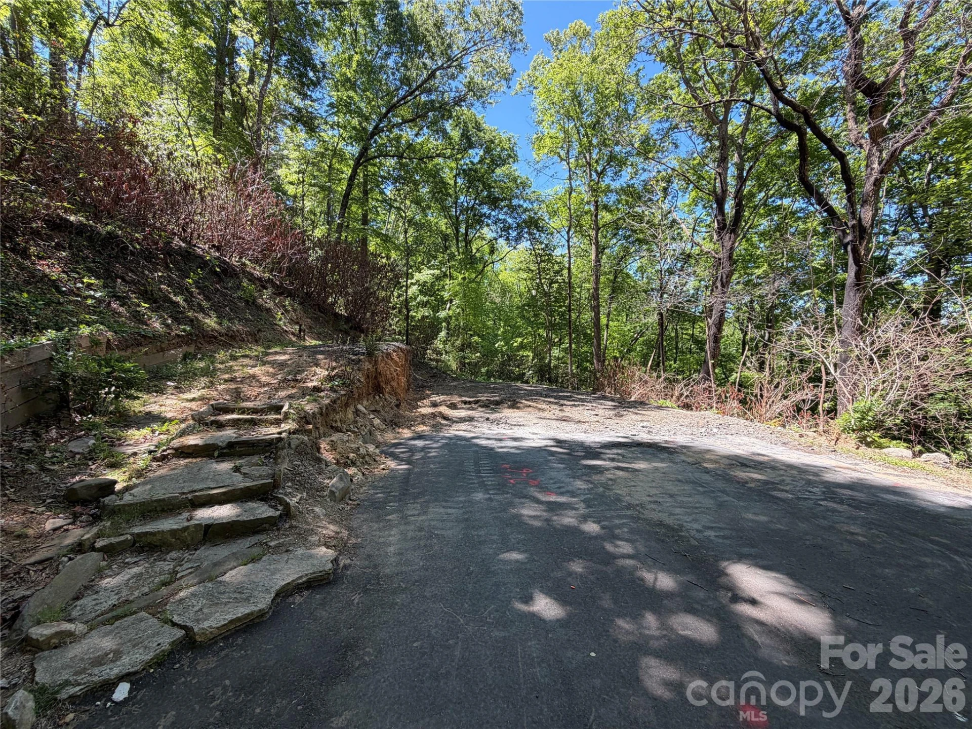 25 Buck Ridge Road - Photo 13