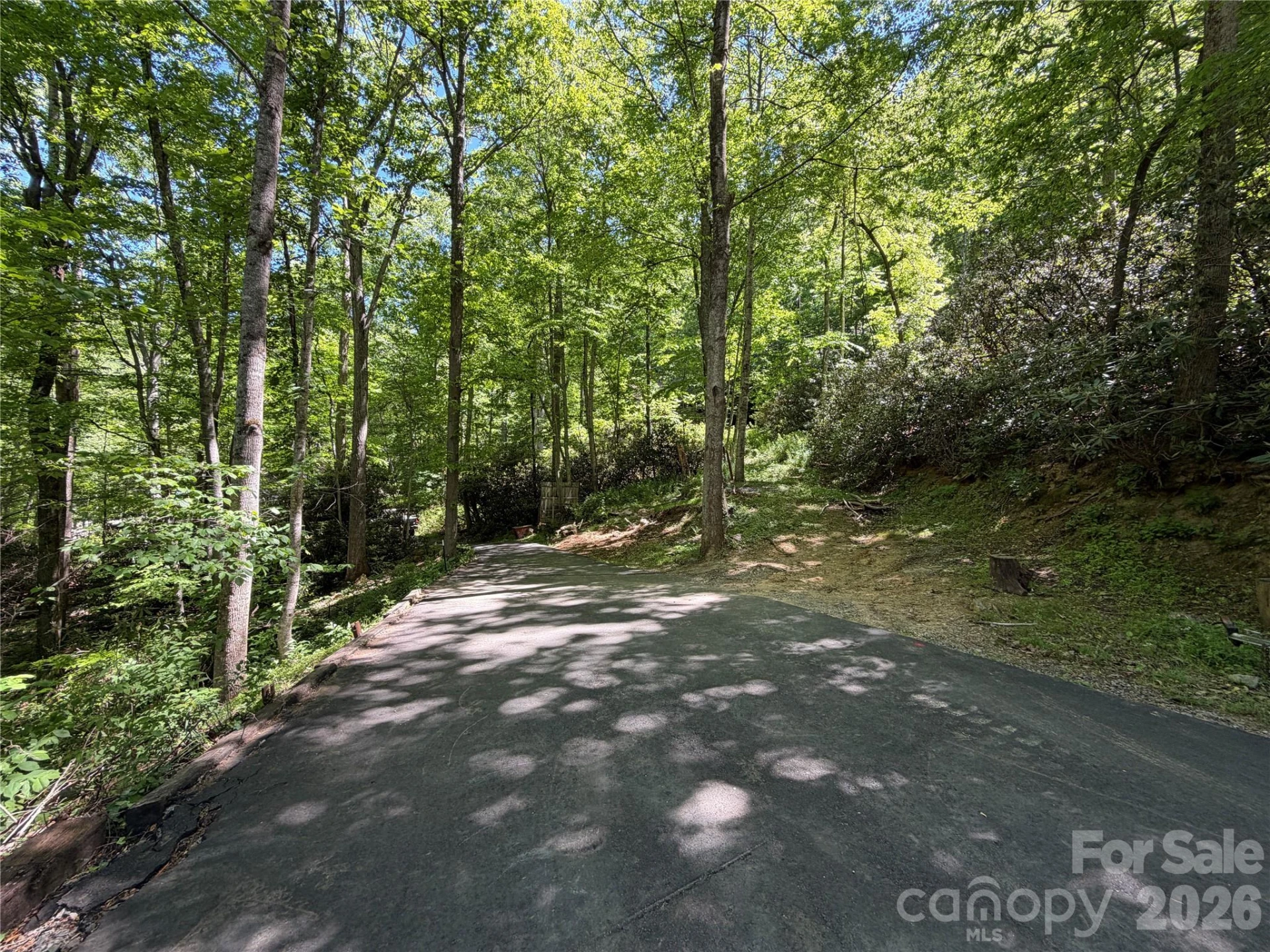 25 Buck Ridge Road - Photo 14