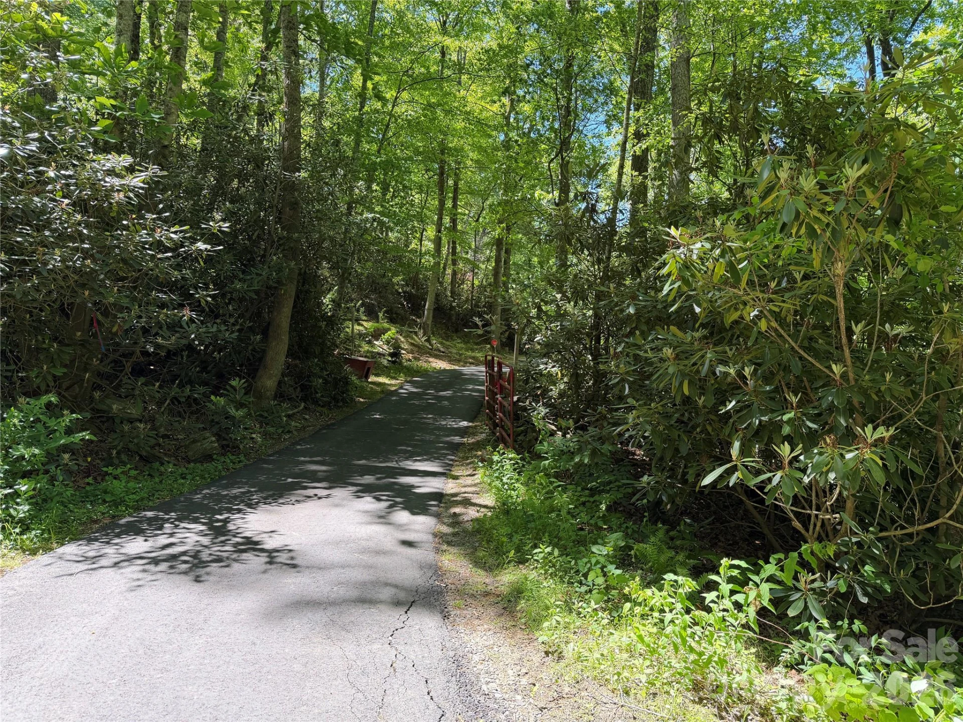 25 Buck Ridge Road - Photo 16