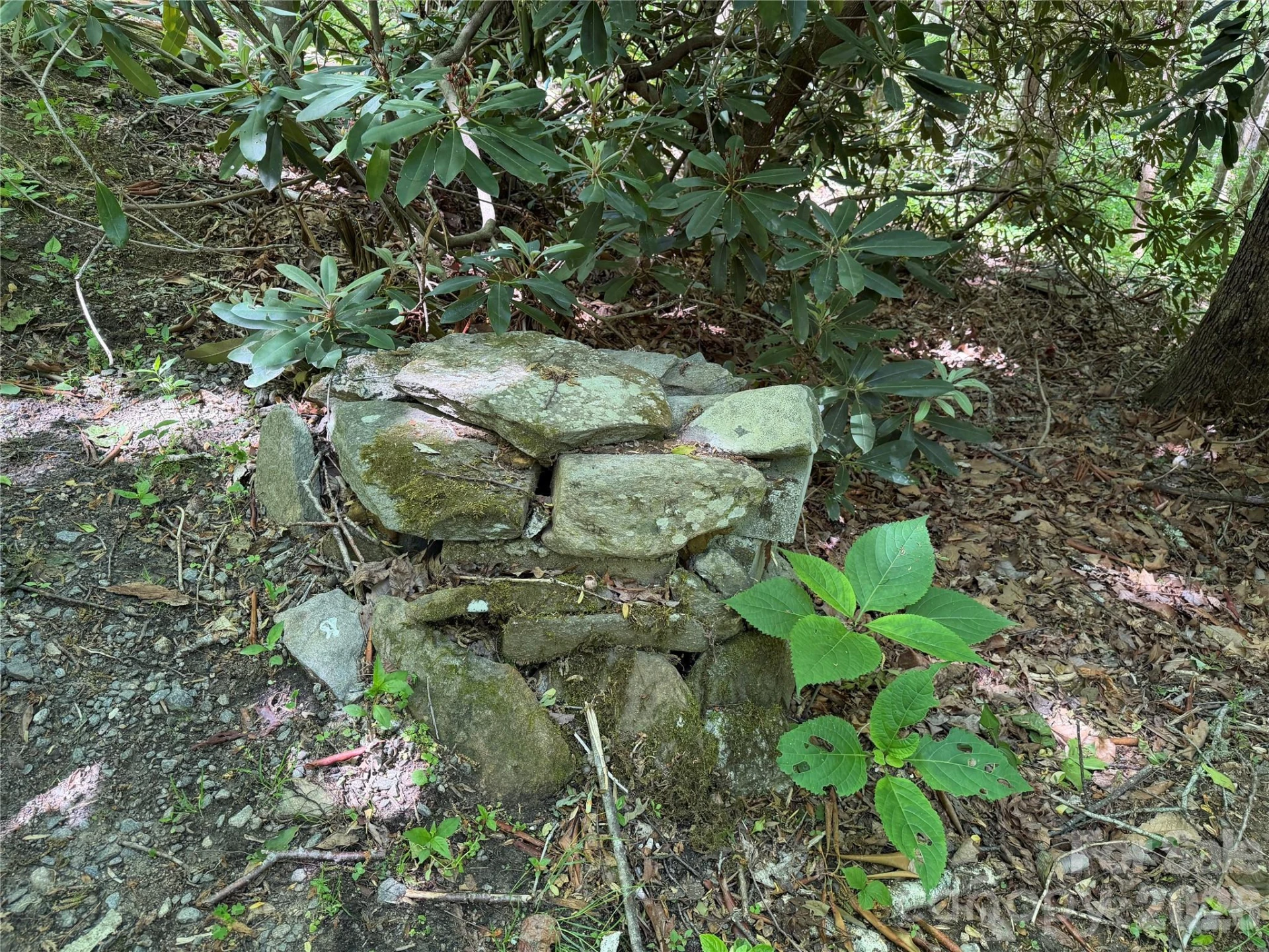 25 Buck Ridge Road - Photo 17