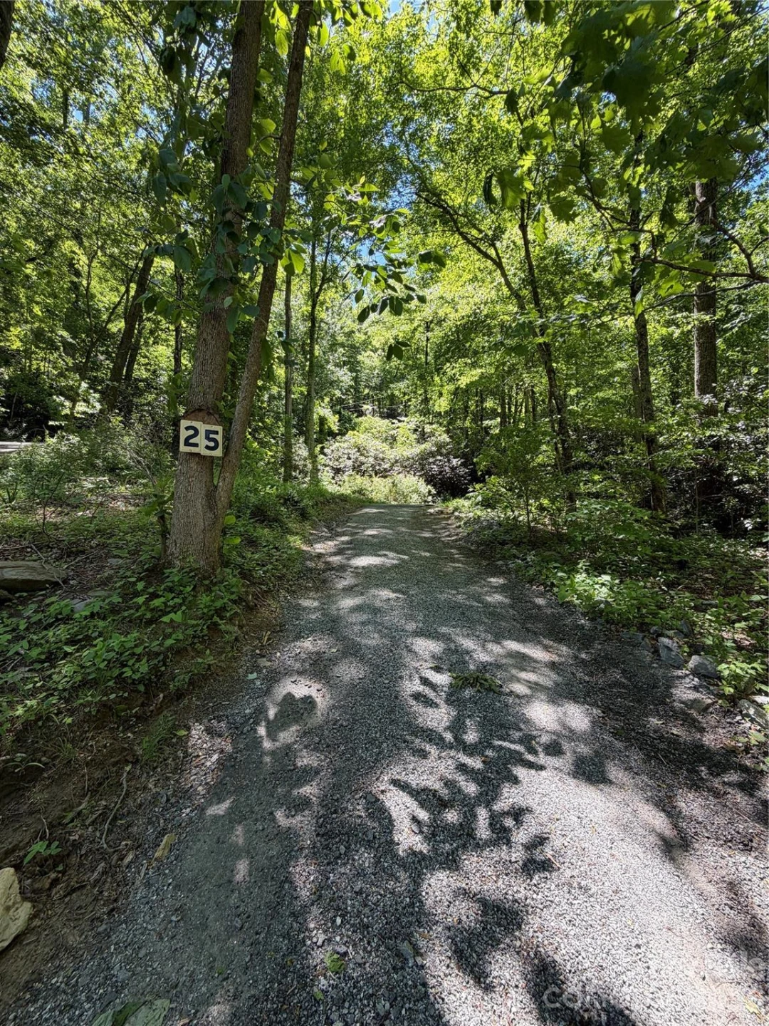 25 Buck Ridge Road - Photo 18