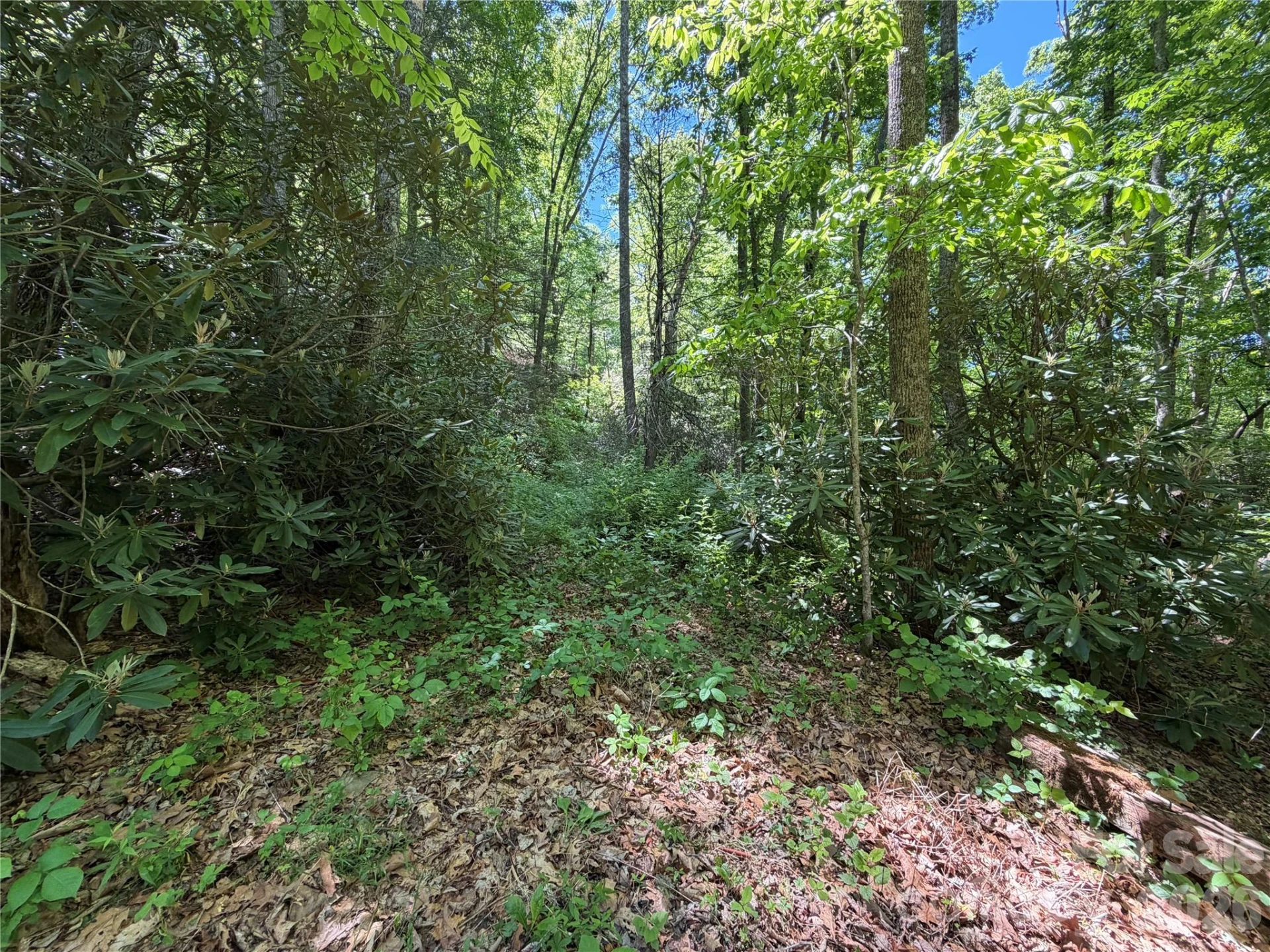 25 Buck Ridge Road - Photo 20