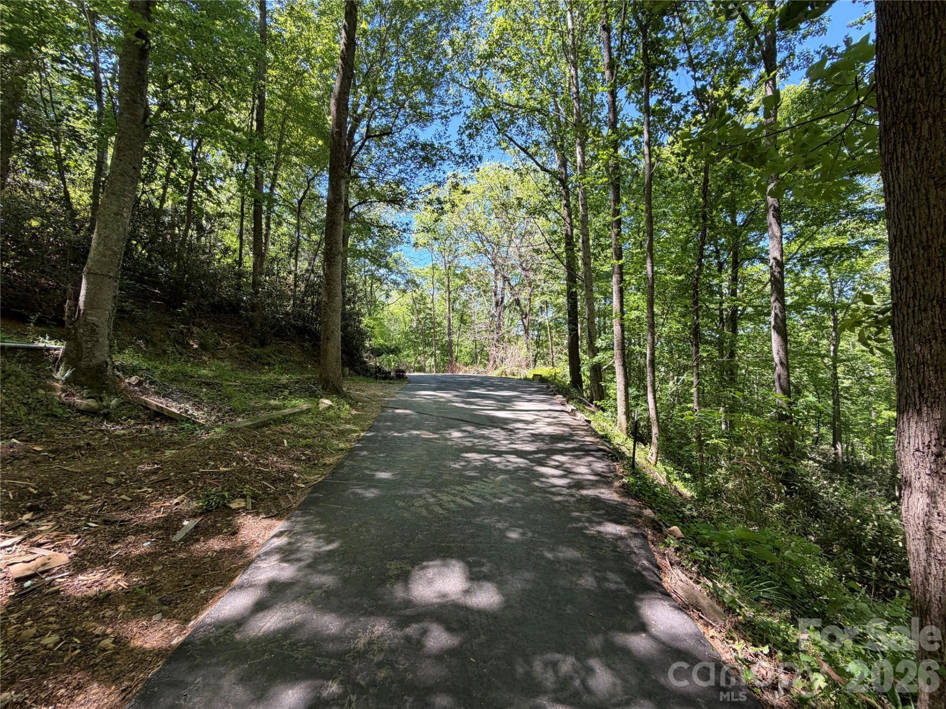 25 Buck Ridge Road - Photo 3