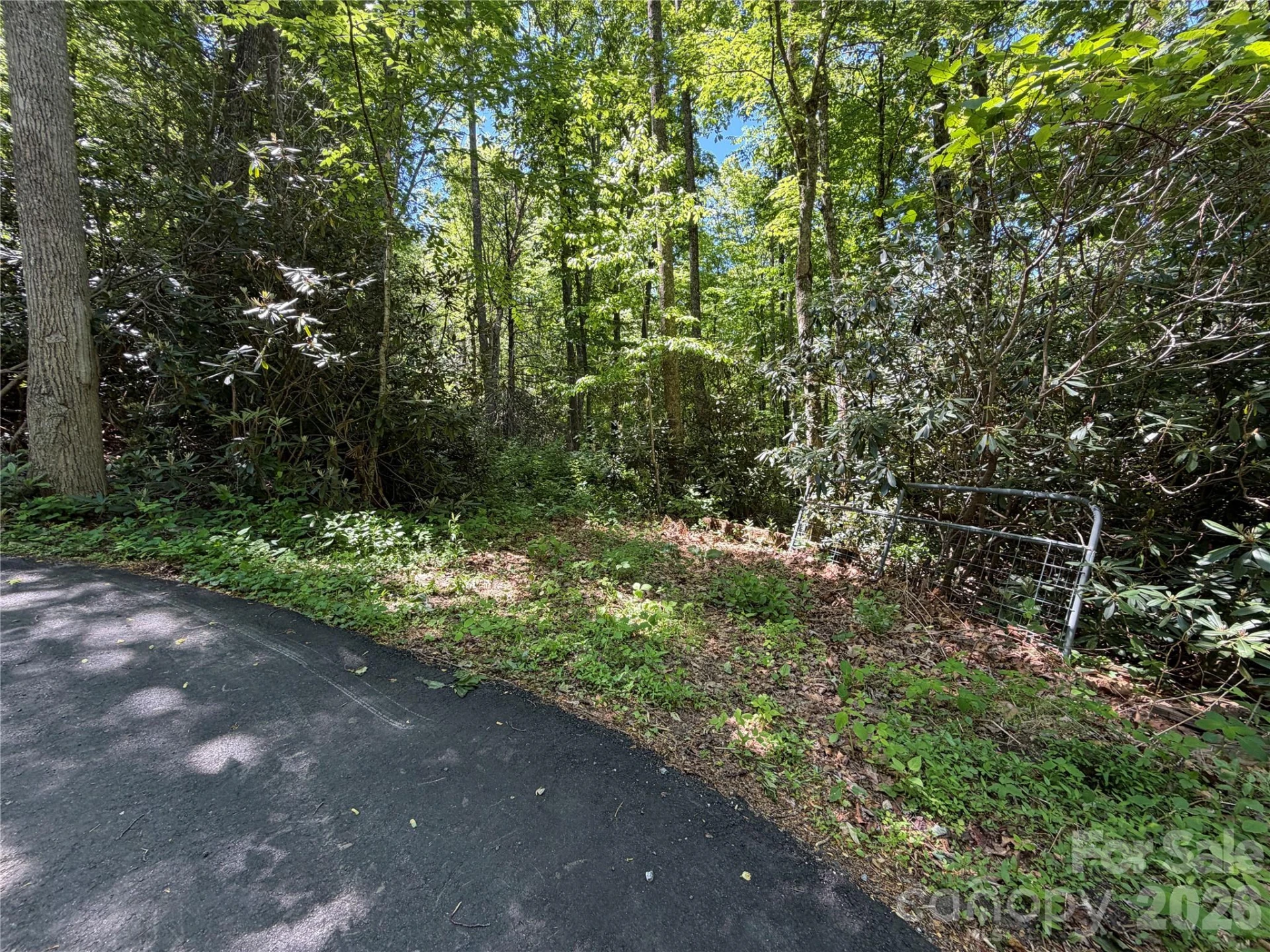 25 Buck Ridge Road - Photo 21