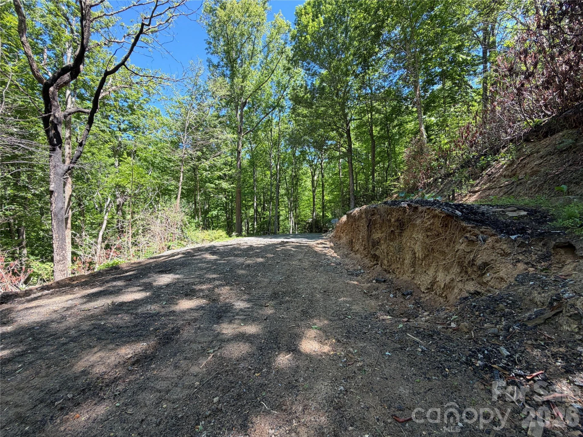 25 Buck Ridge Road - Photo 6