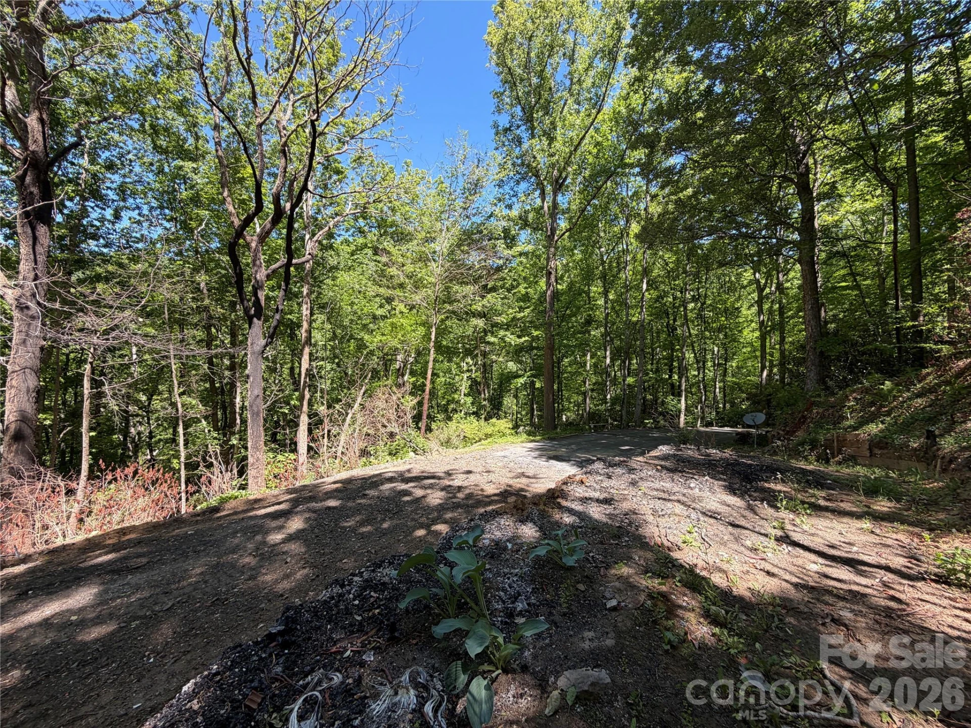 25 Buck Ridge Road - Photo 8