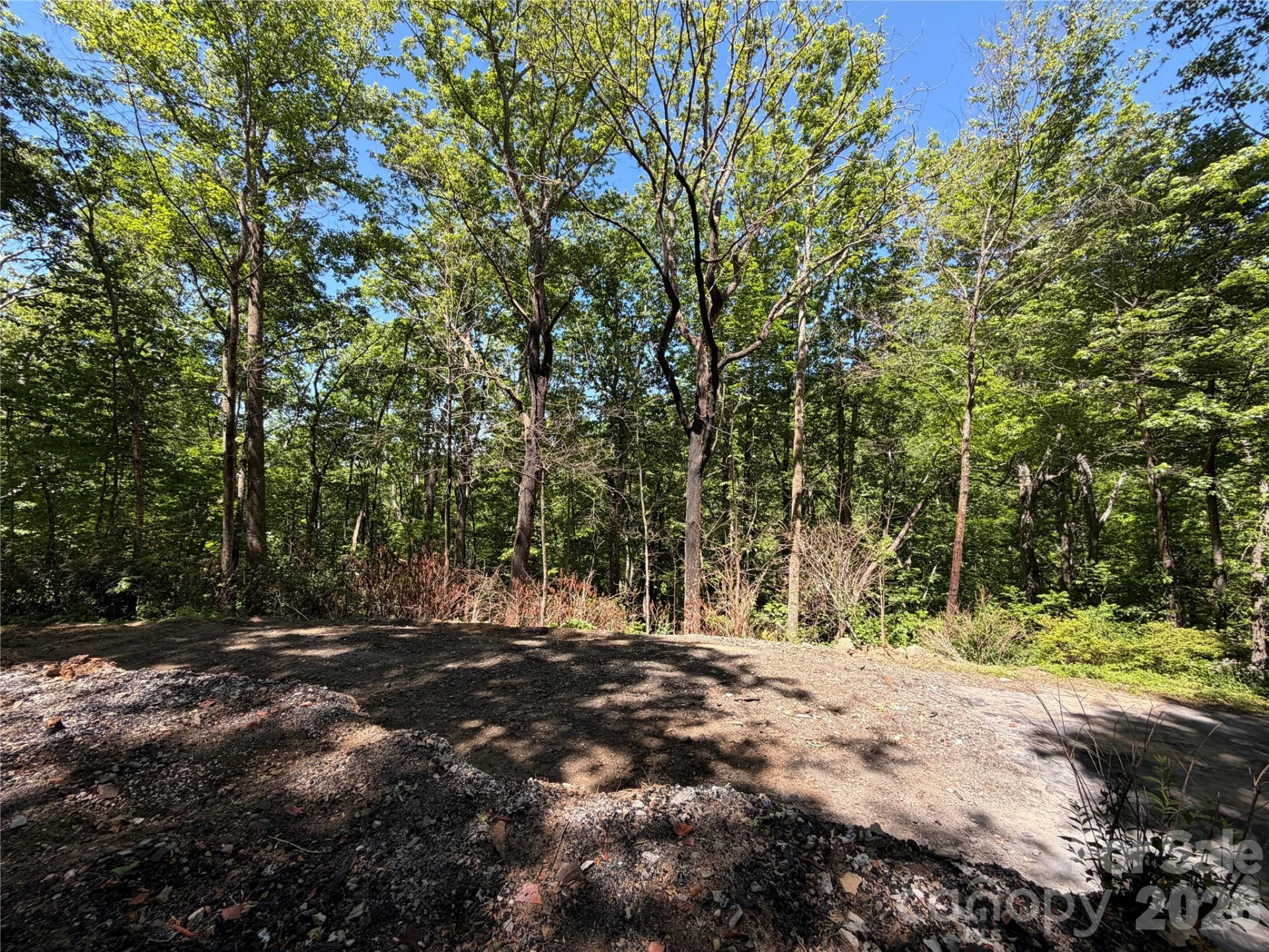 25 Buck Ridge Road - Photo 10
