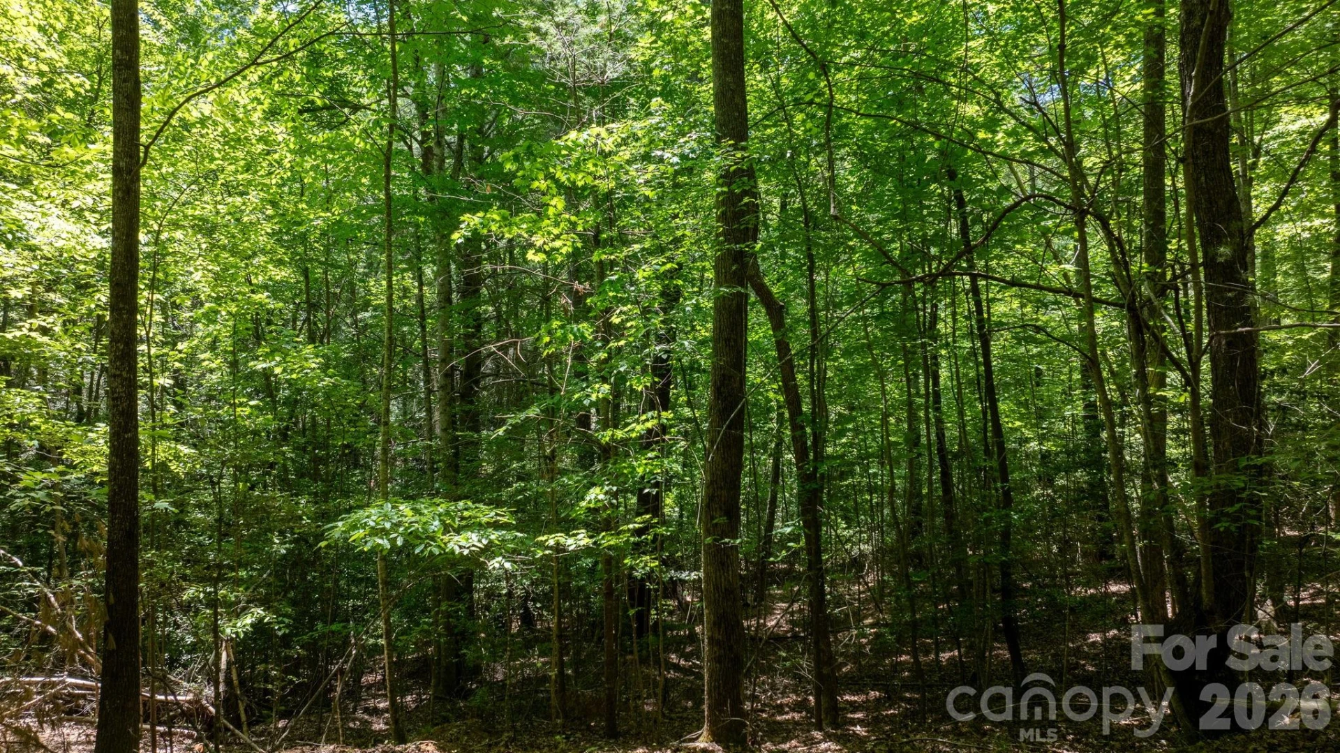 45 Harborside Drive #45 - Photo 12