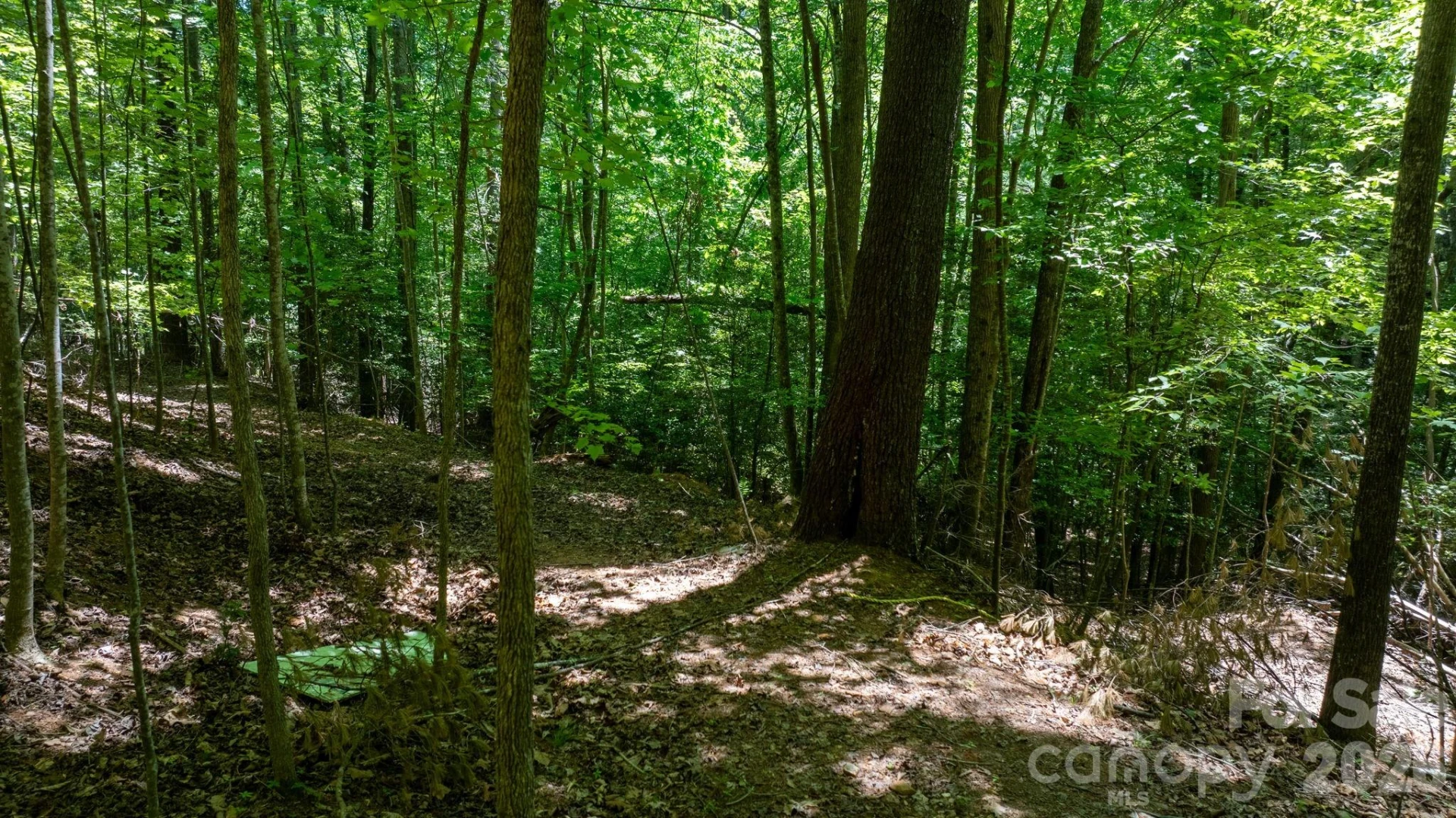 45 Harborside Drive #45 - Photo 13