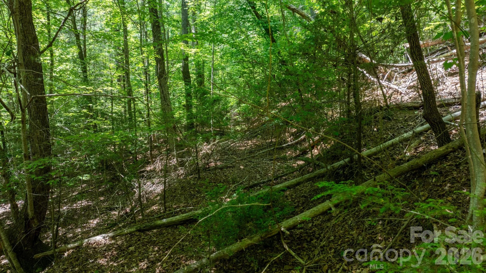 45 Harborside Drive #45 - Photo 15