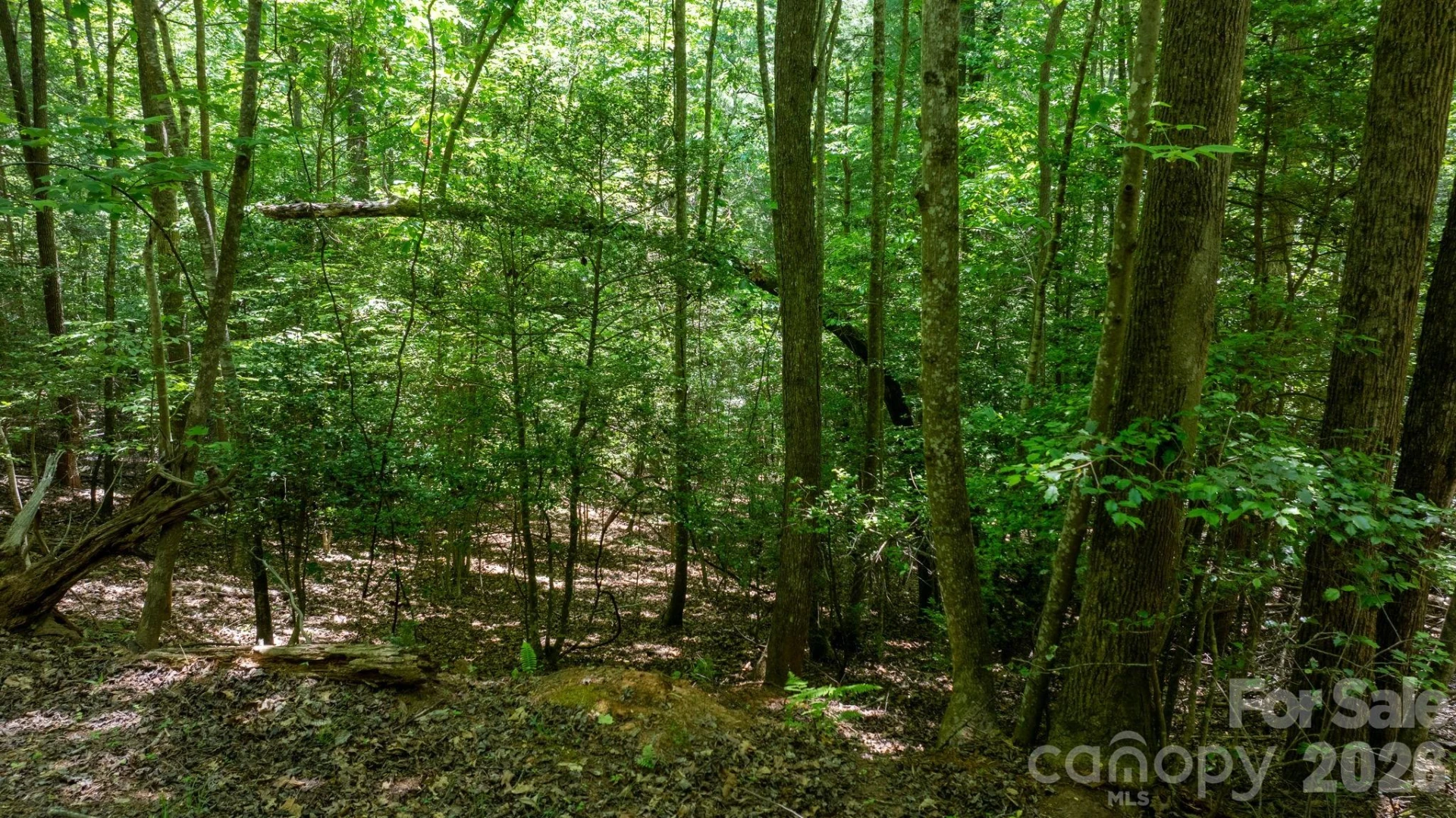 45 Harborside Drive #45 - Photo 16