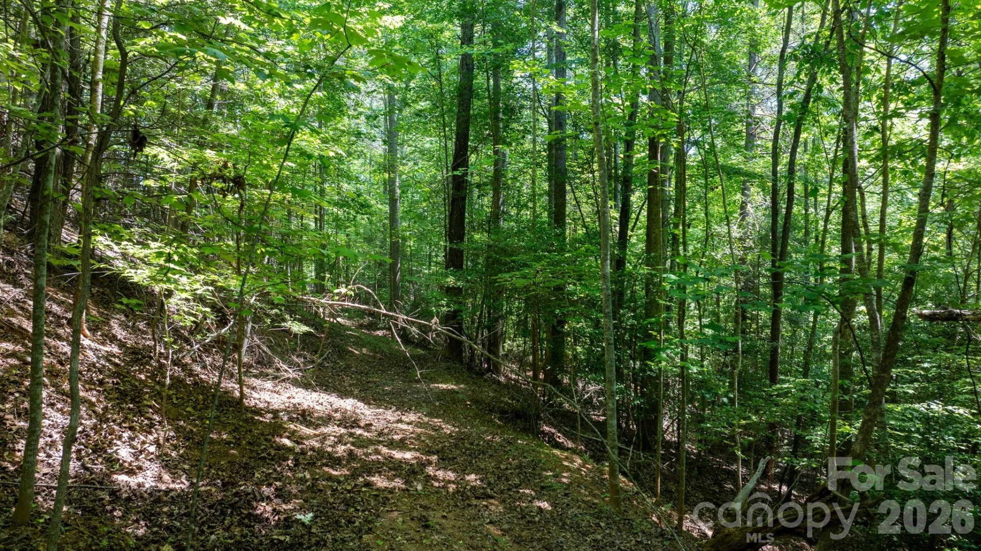 45 Harborside Drive #45 - Photo 17