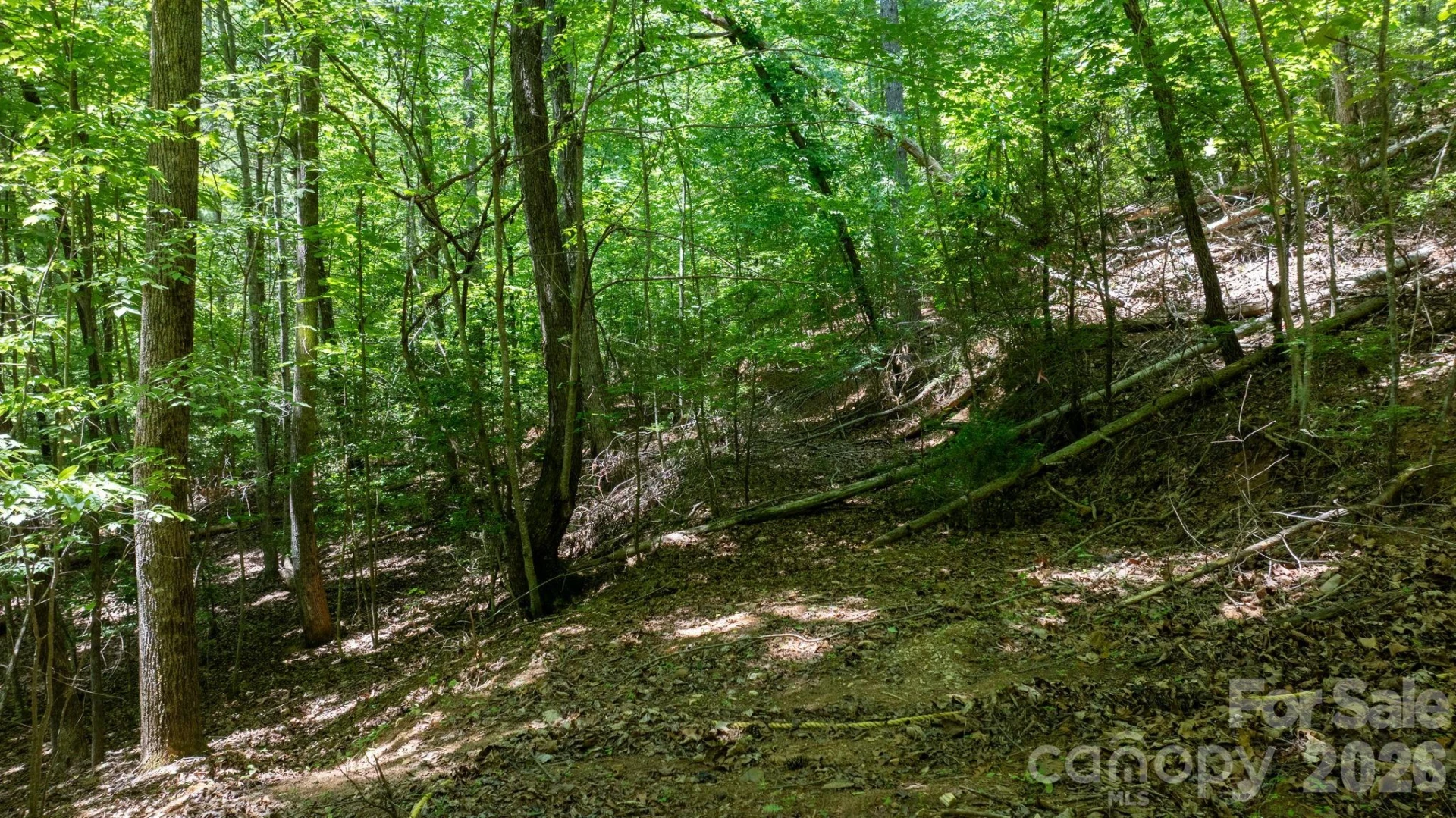 45 Harborside Drive #45 - Photo 18