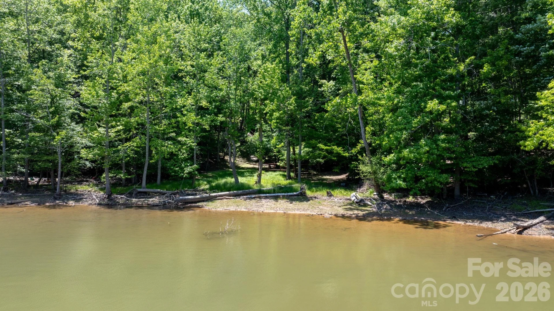 45 Harborside Drive #45 - Photo 3