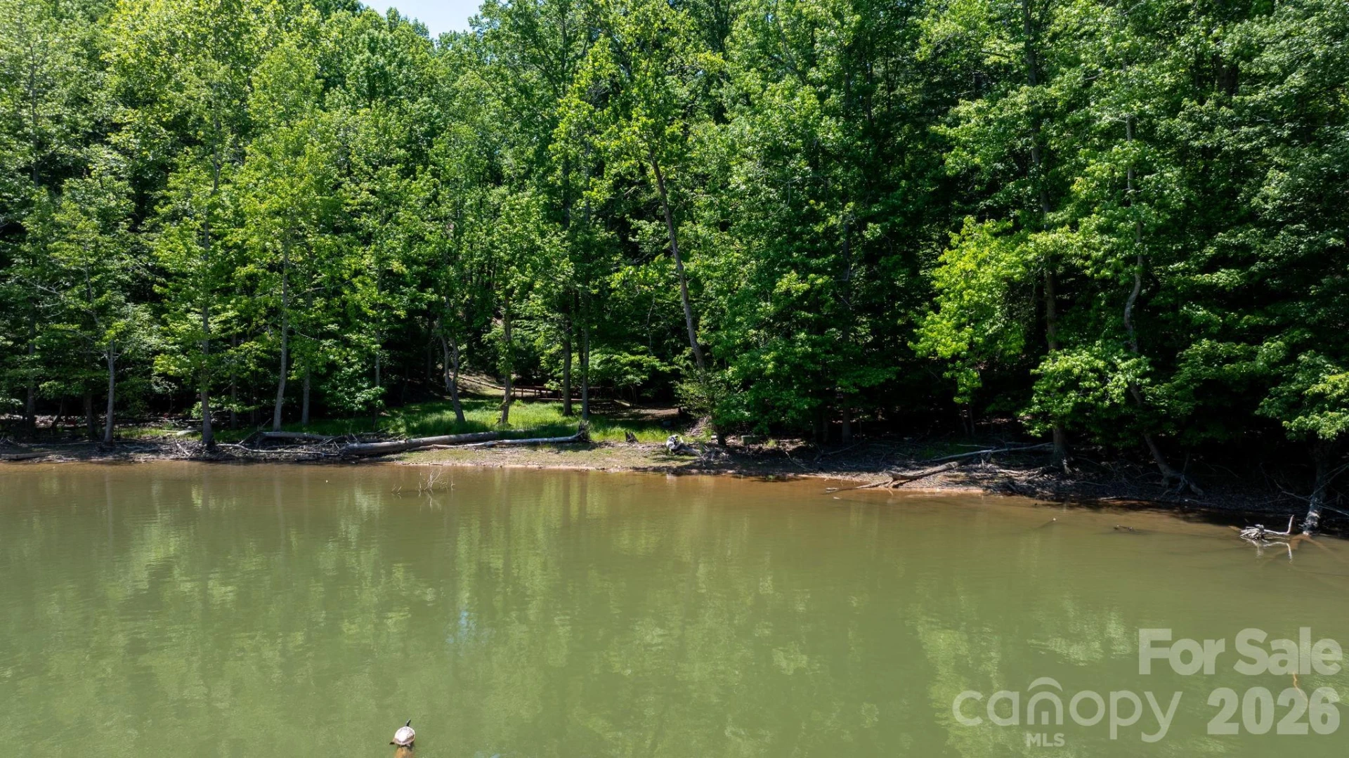 45 Harborside Drive #45 - Photo 29