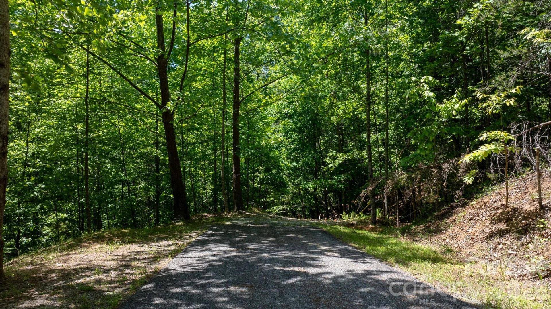 45 Harborside Drive #45 - Photo 8