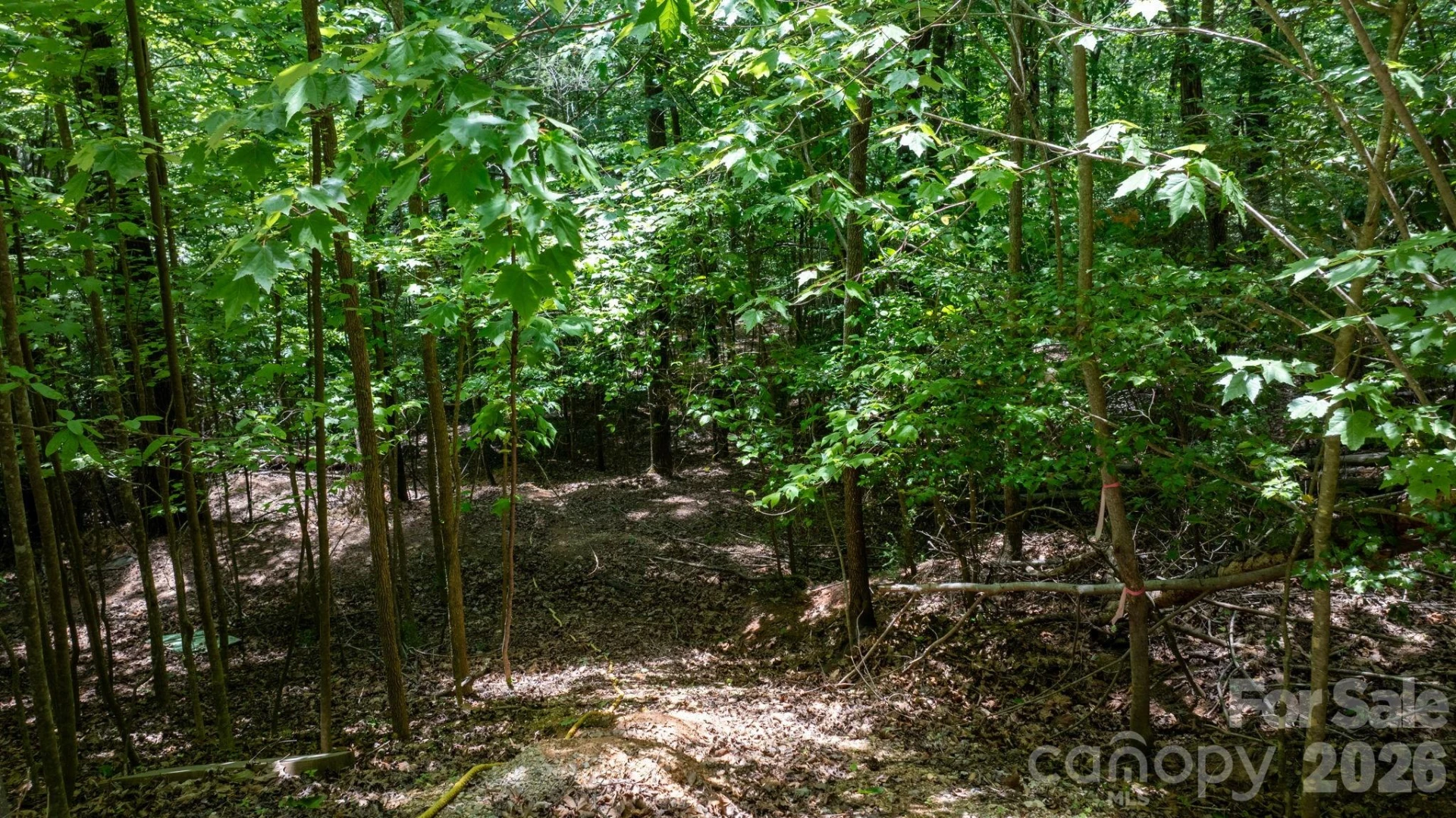45 Harborside Drive #45 - Photo 10