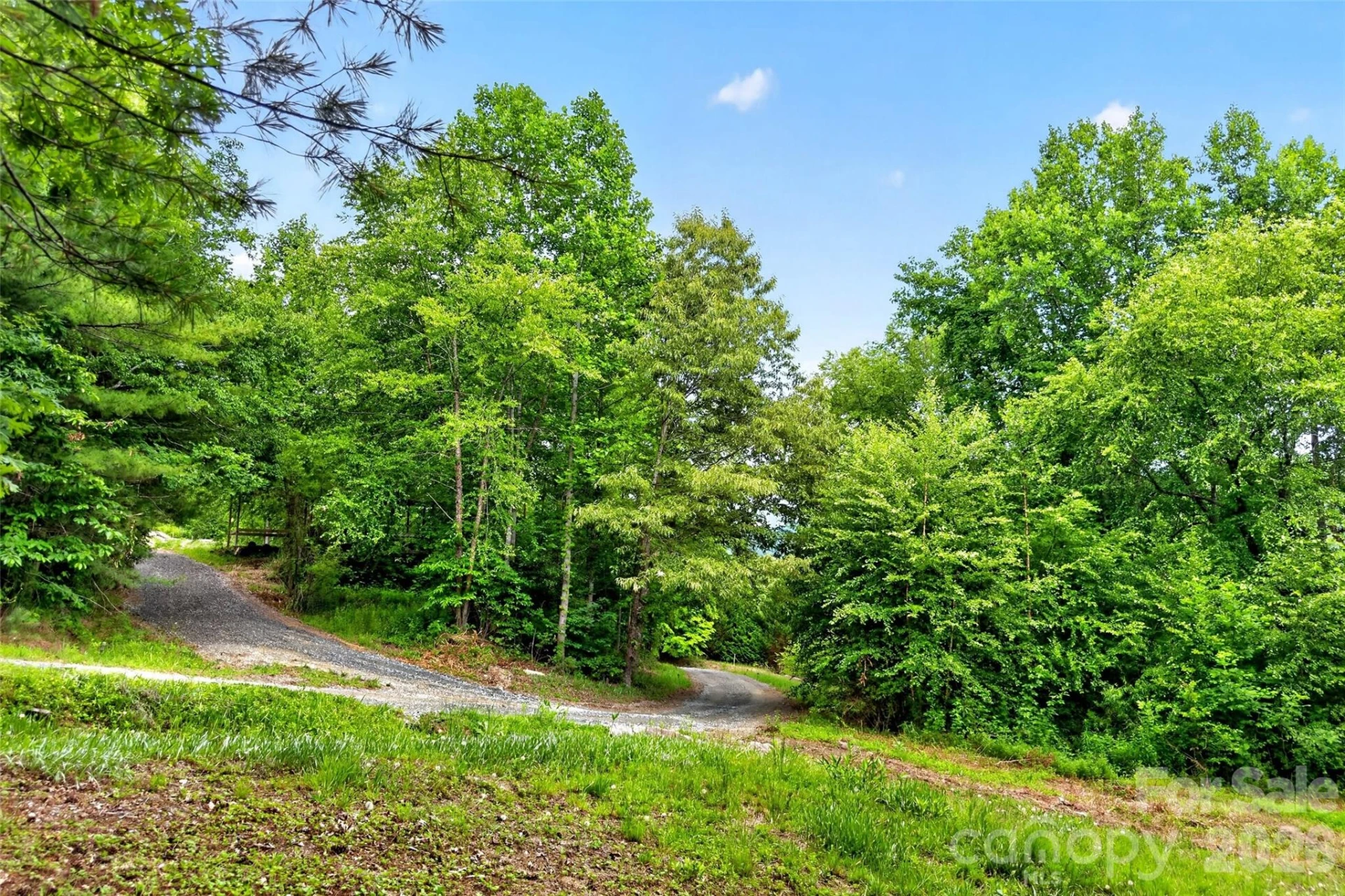 259 East Lester Lane - Photo 26