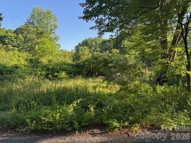 202 Dundee Street, Hendersonville, NC, 28791