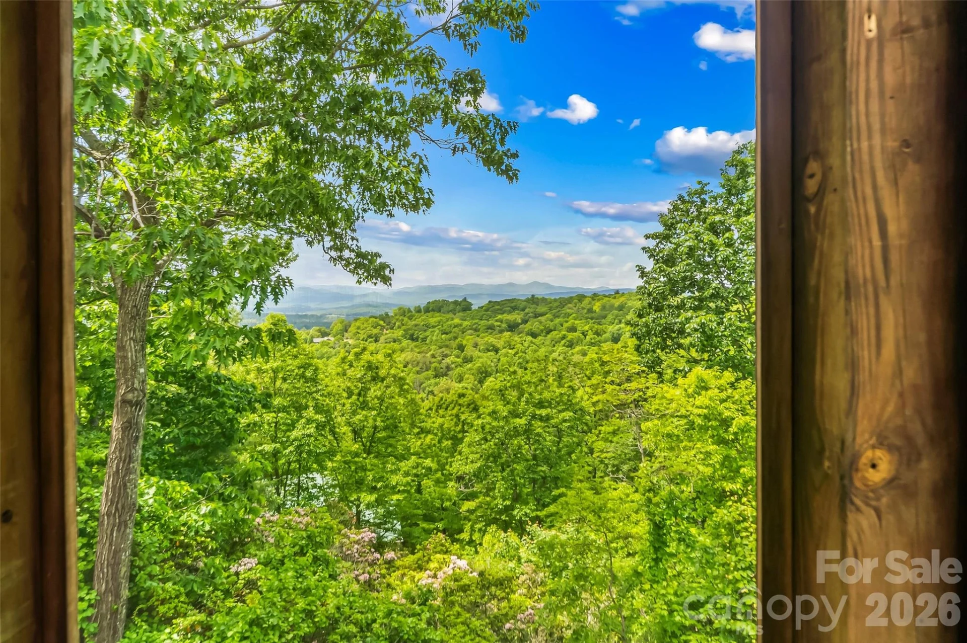 120 Eagle Rock Trail - Photo 11