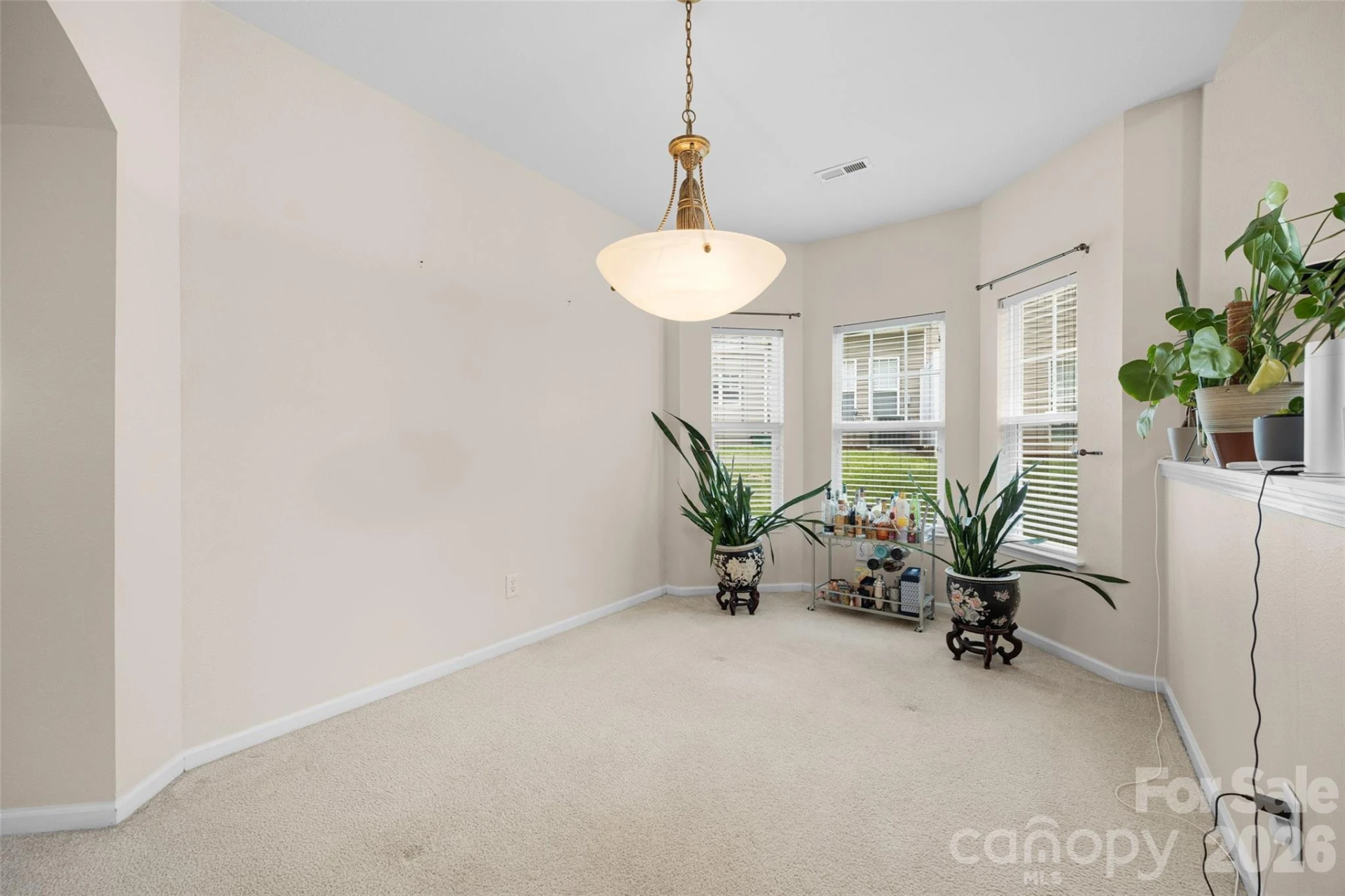 330 Bridal Veil Drive - Photo 6