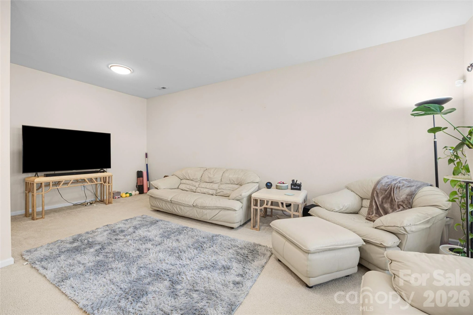 330 Bridal Veil Drive - Photo 7