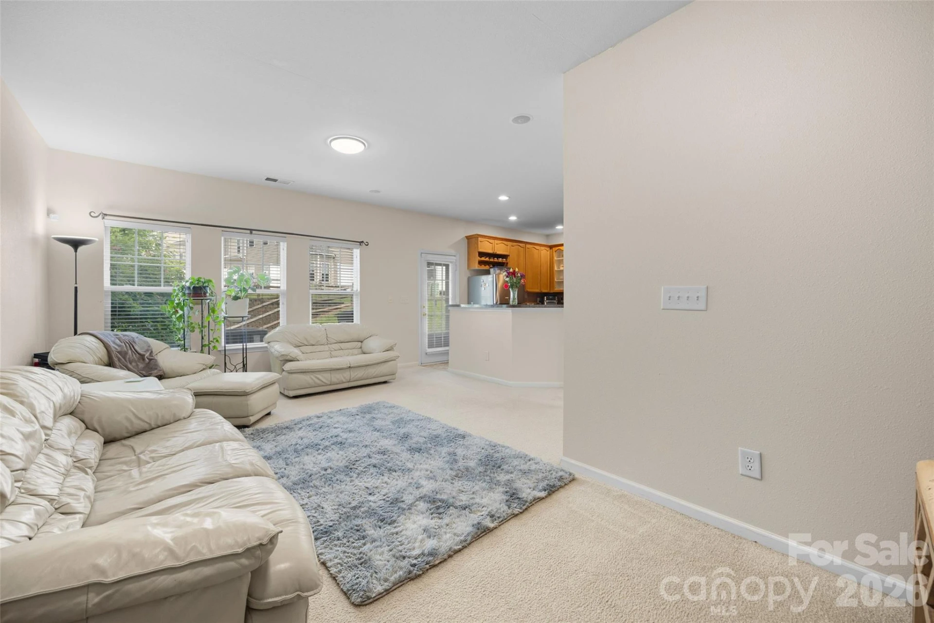 330 Bridal Veil Drive - Photo 8