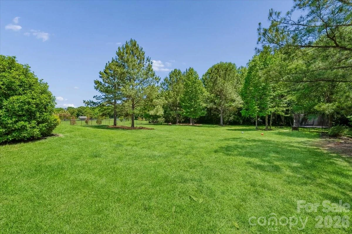 1006 Spring Rose Lane - Photo 39
