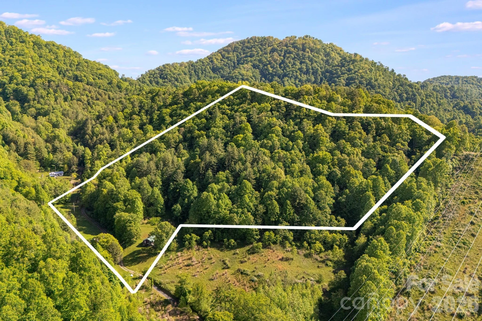 130 Black Crow Road - Photo 2