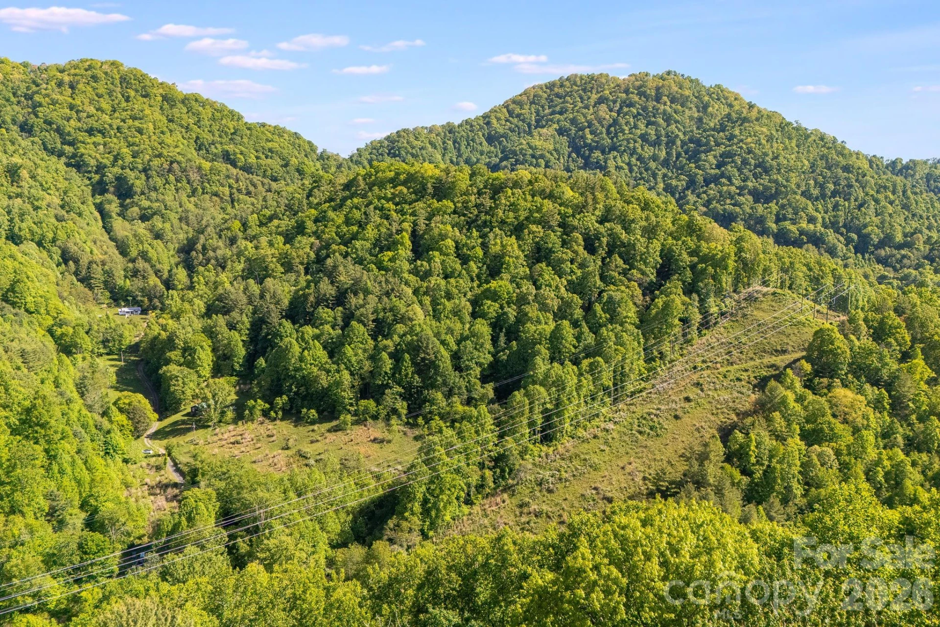130 Black Crow Road - Photo 15