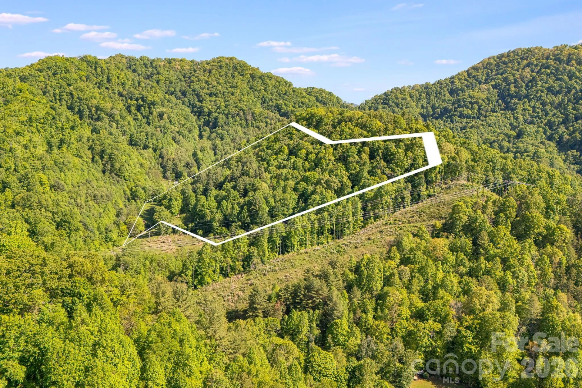 130 Black Crow Road - Photo 18