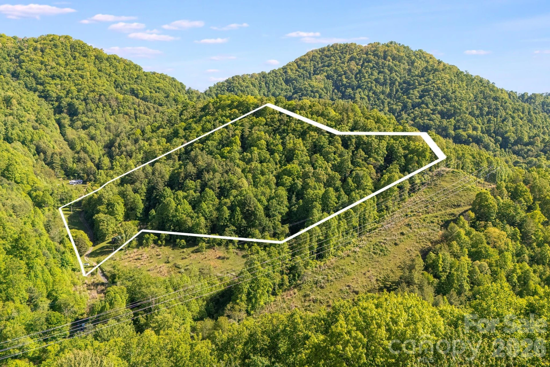 130 Black Crow Road - Photo 19