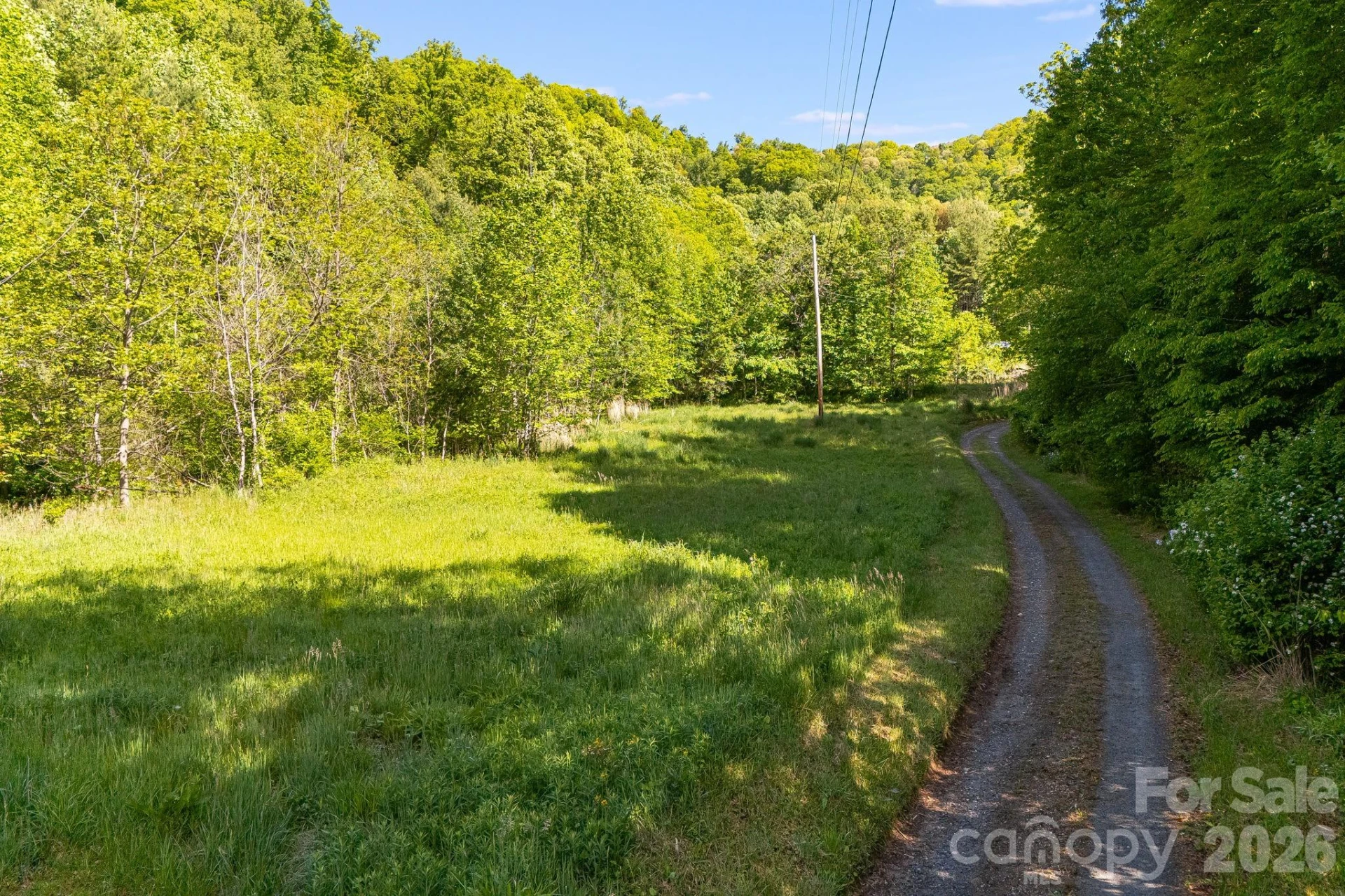 130 Black Crow Road - Photo 3