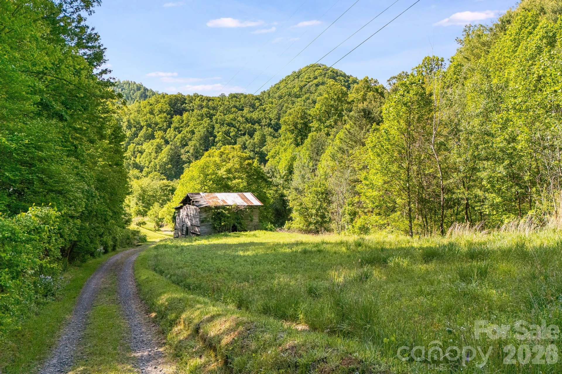 130 Black Crow Road - Photo 4