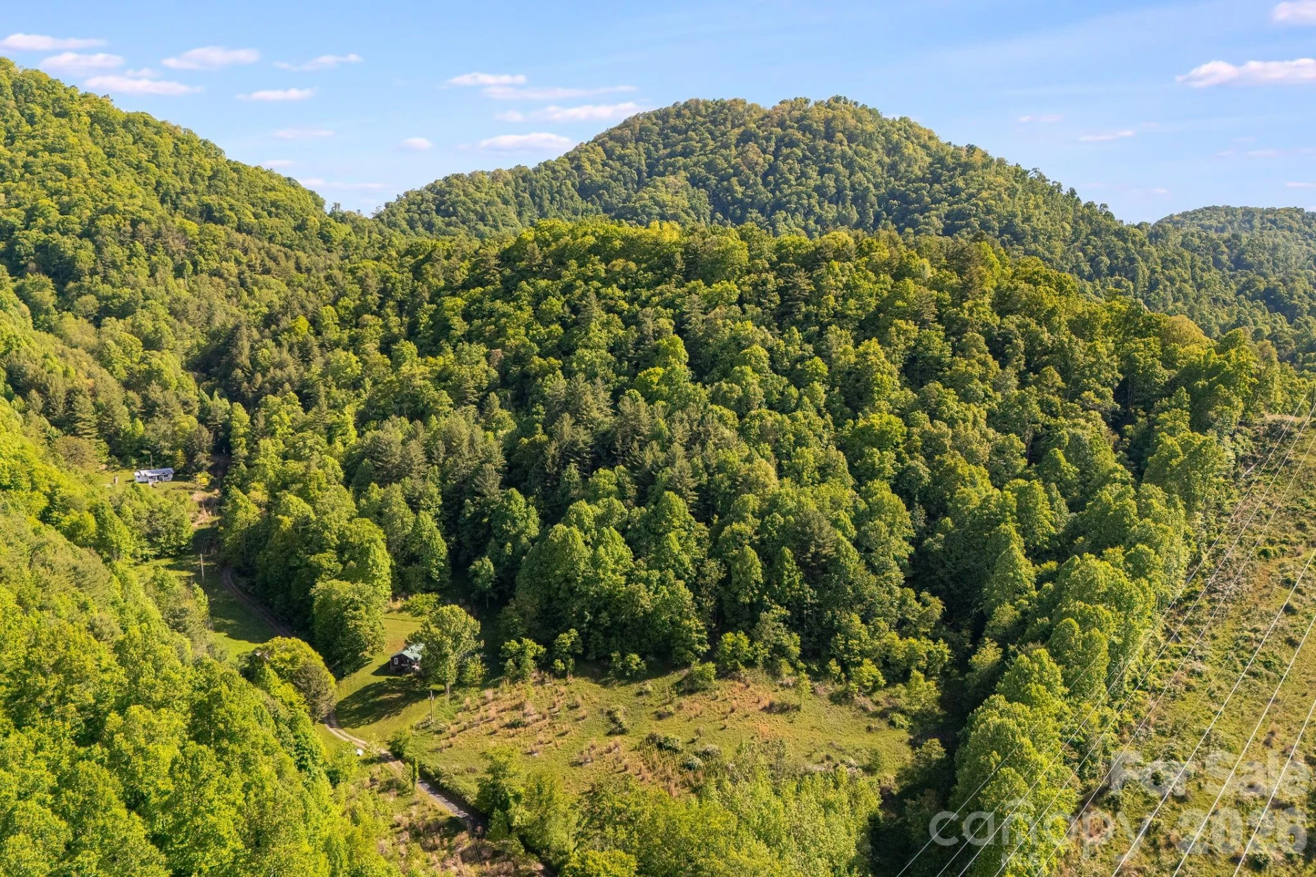 130 Black Crow Road - Photo 5
