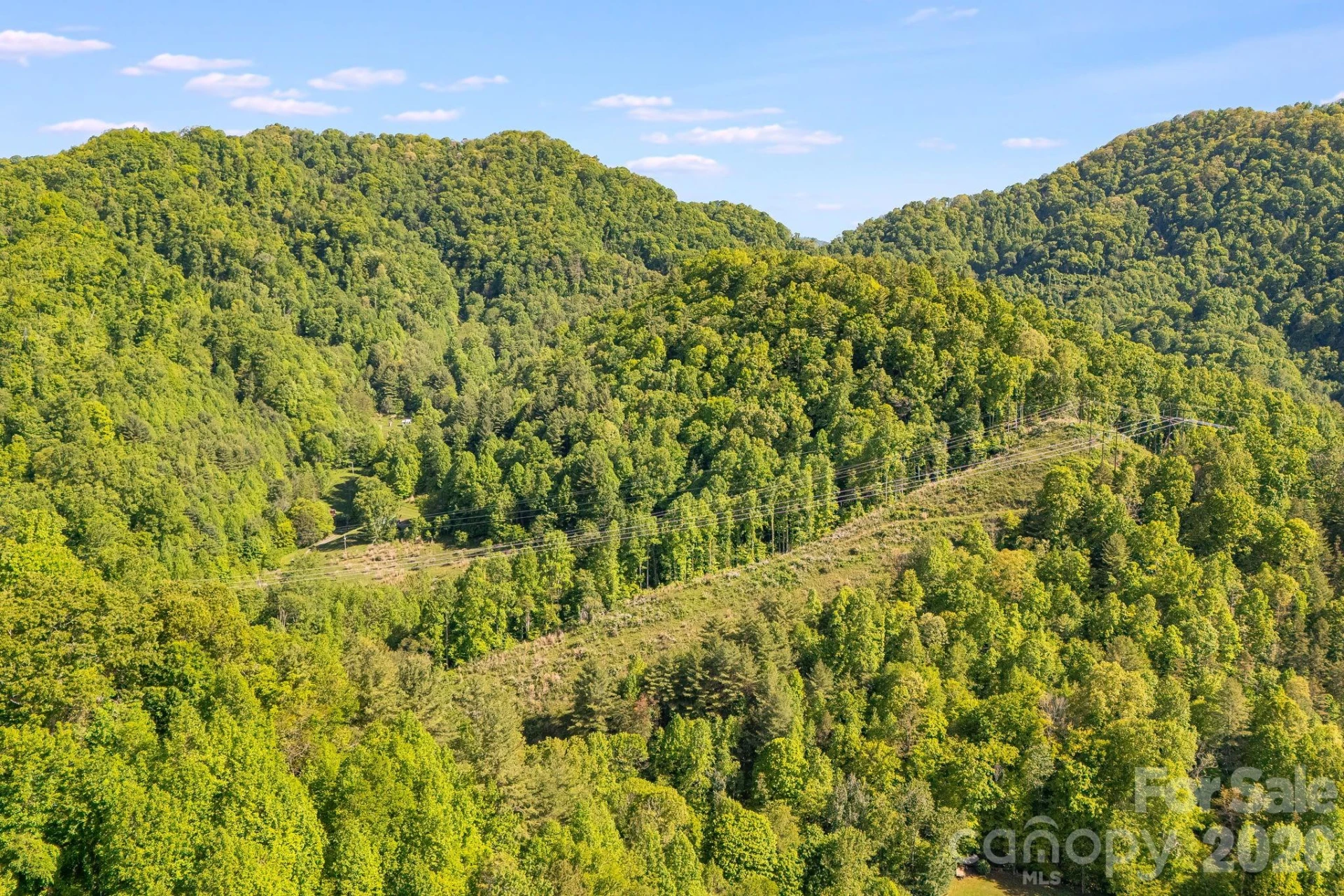 130 Black Crow Road - Photo 6