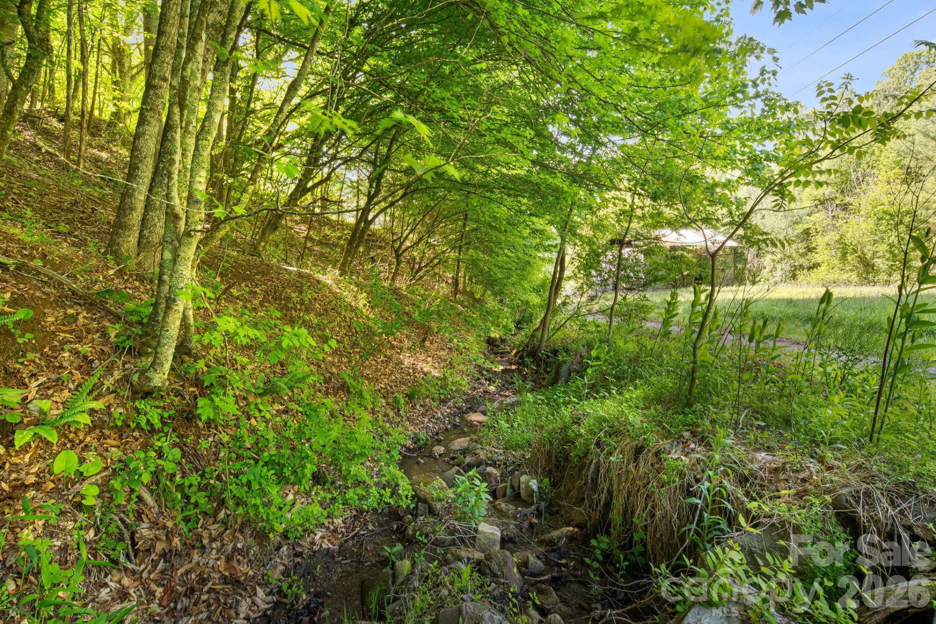 130 Black Crow Road - Photo 7