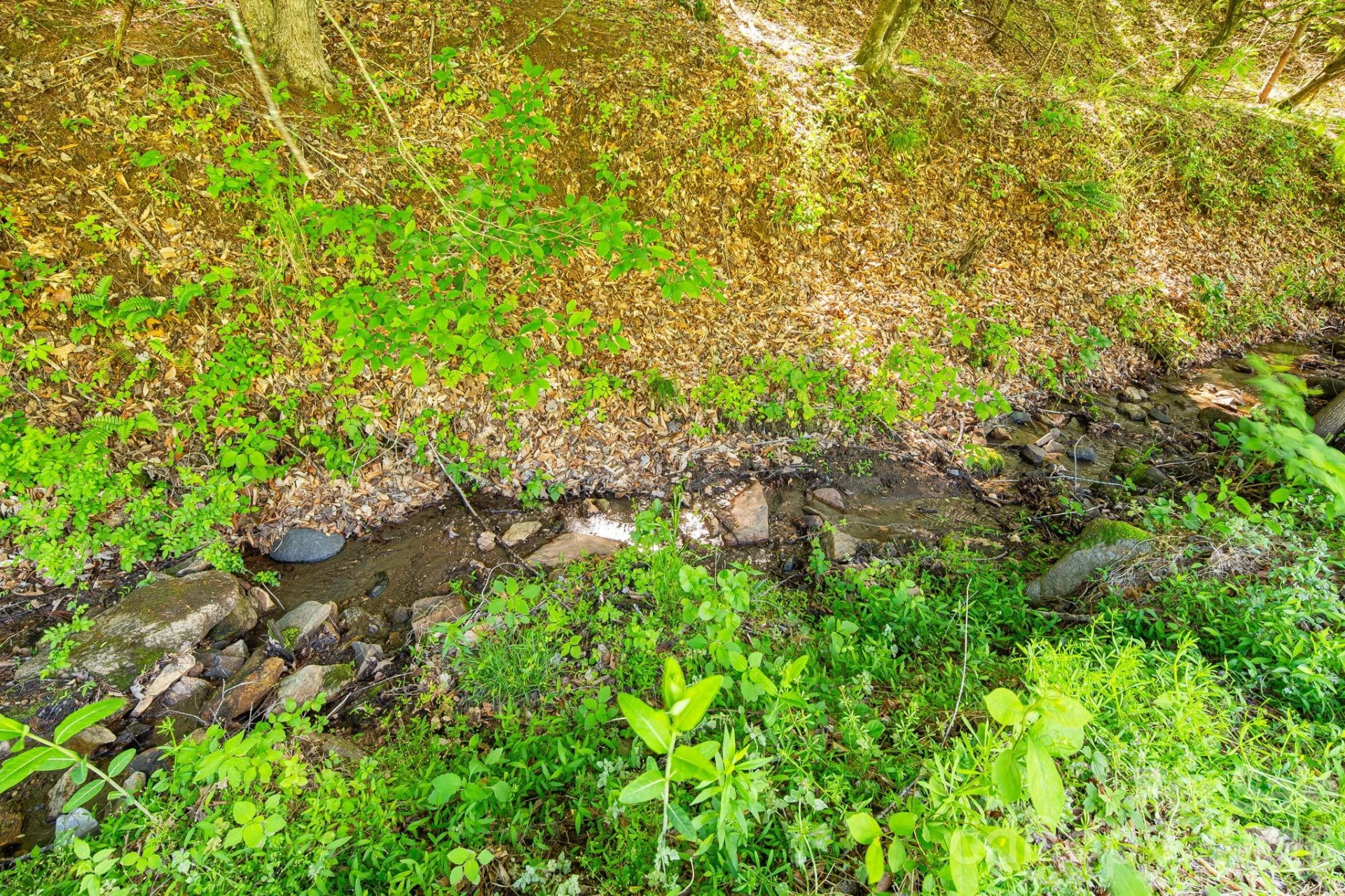 130 Black Crow Road - Photo 8